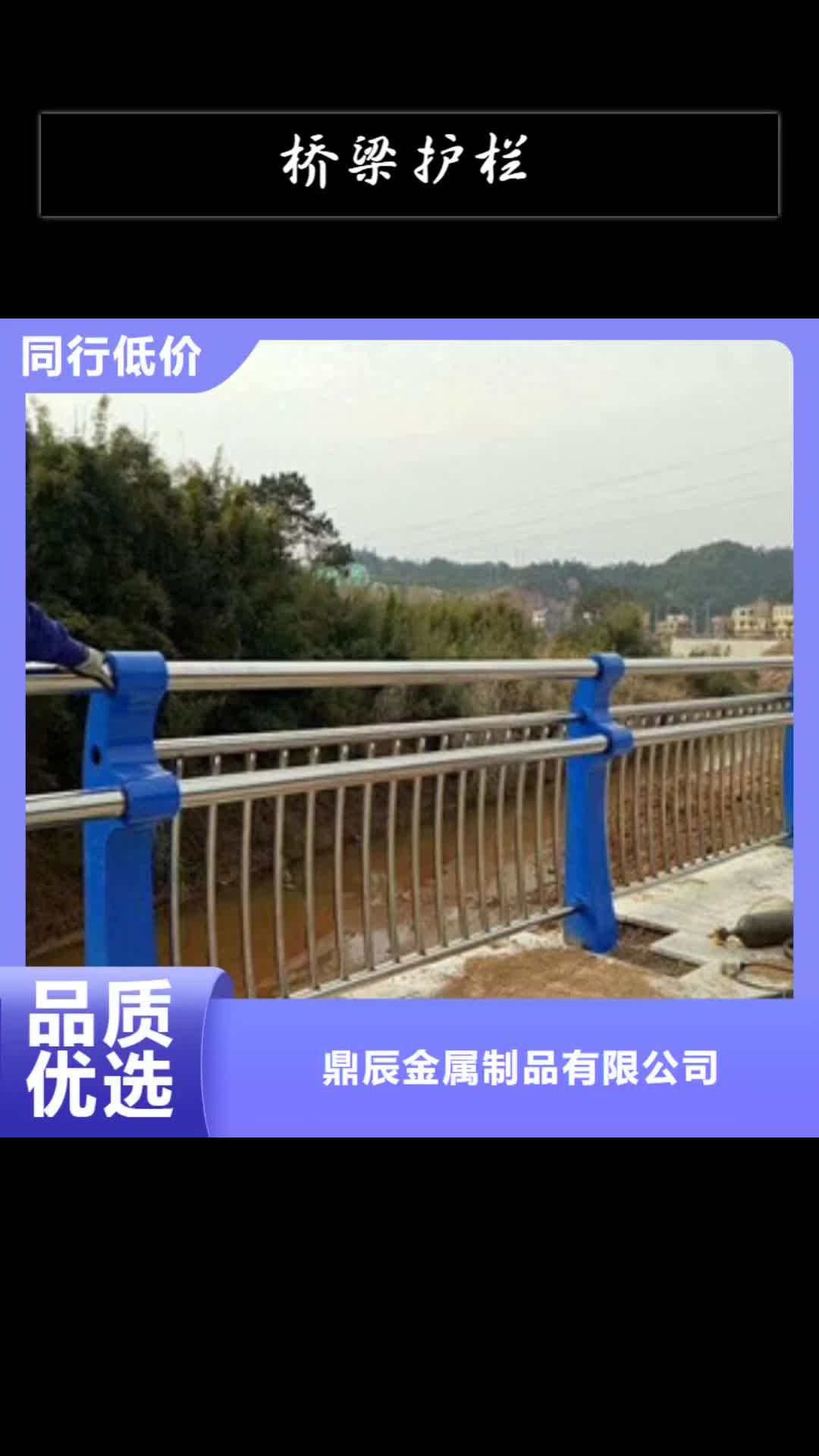 楚雄【桥梁护栏】河道护栏专业品质