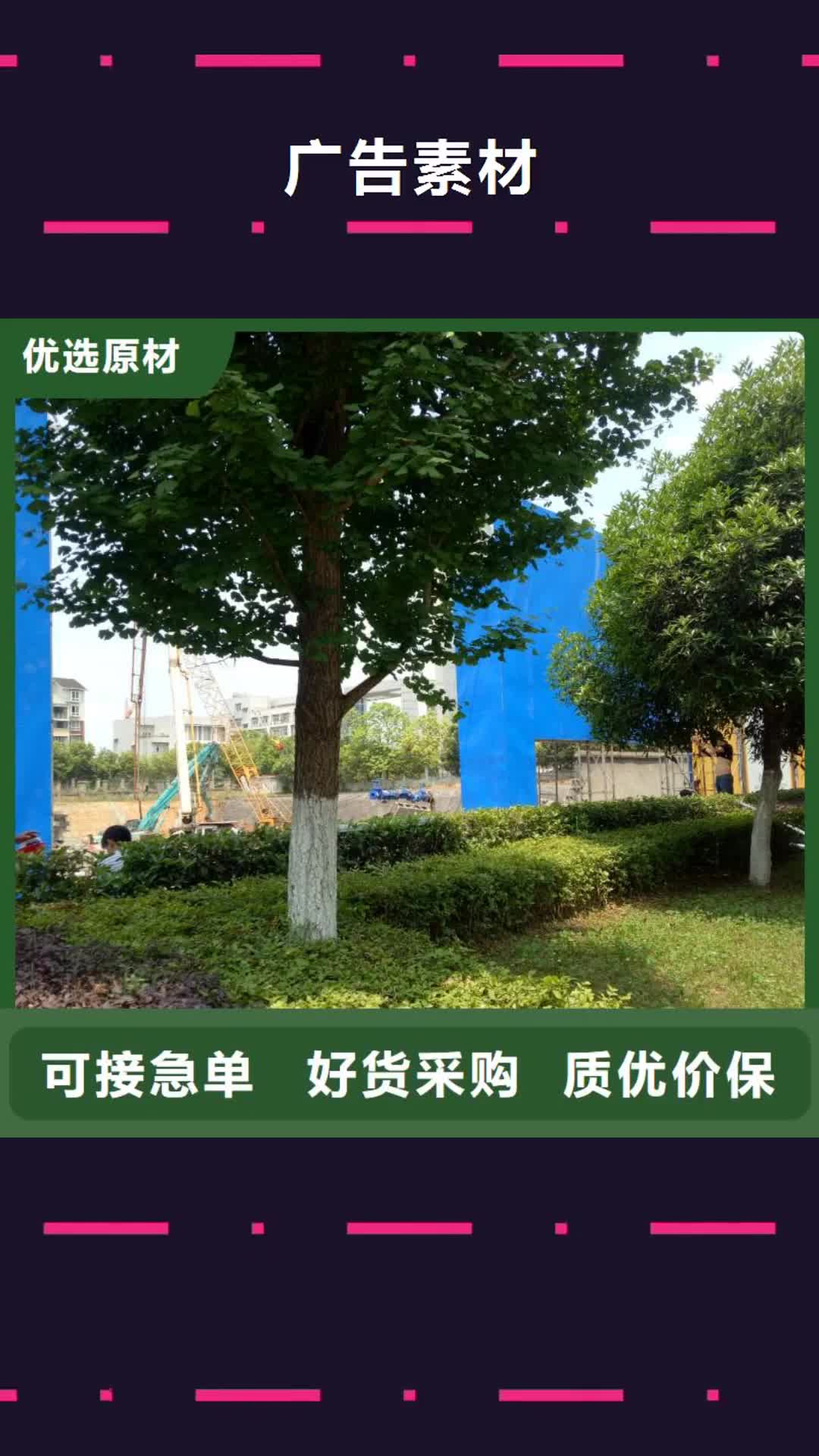泰州 广告素材资质认证