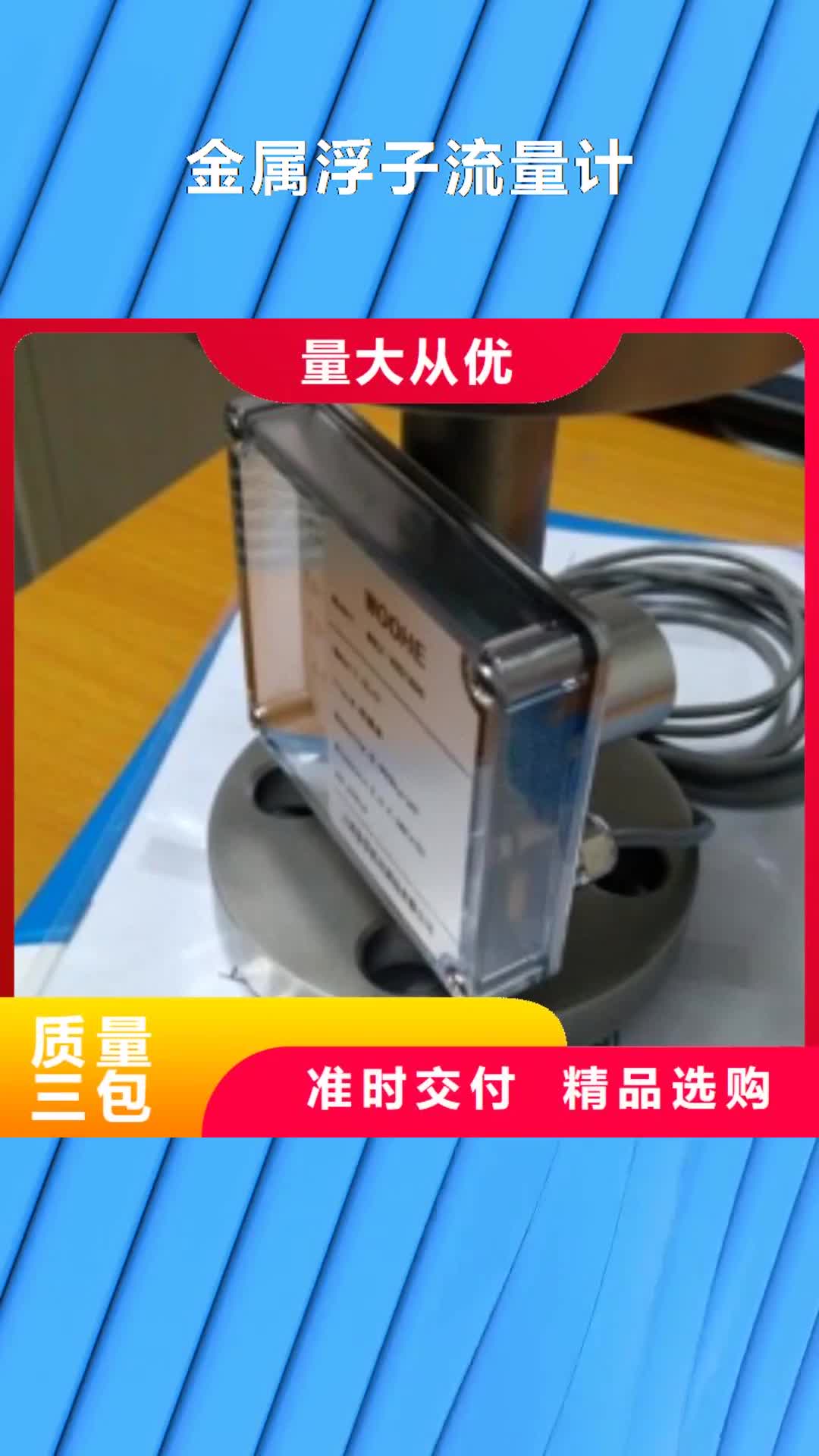 石家庄【金属浮子流量计】-吹扫装置制造厂家