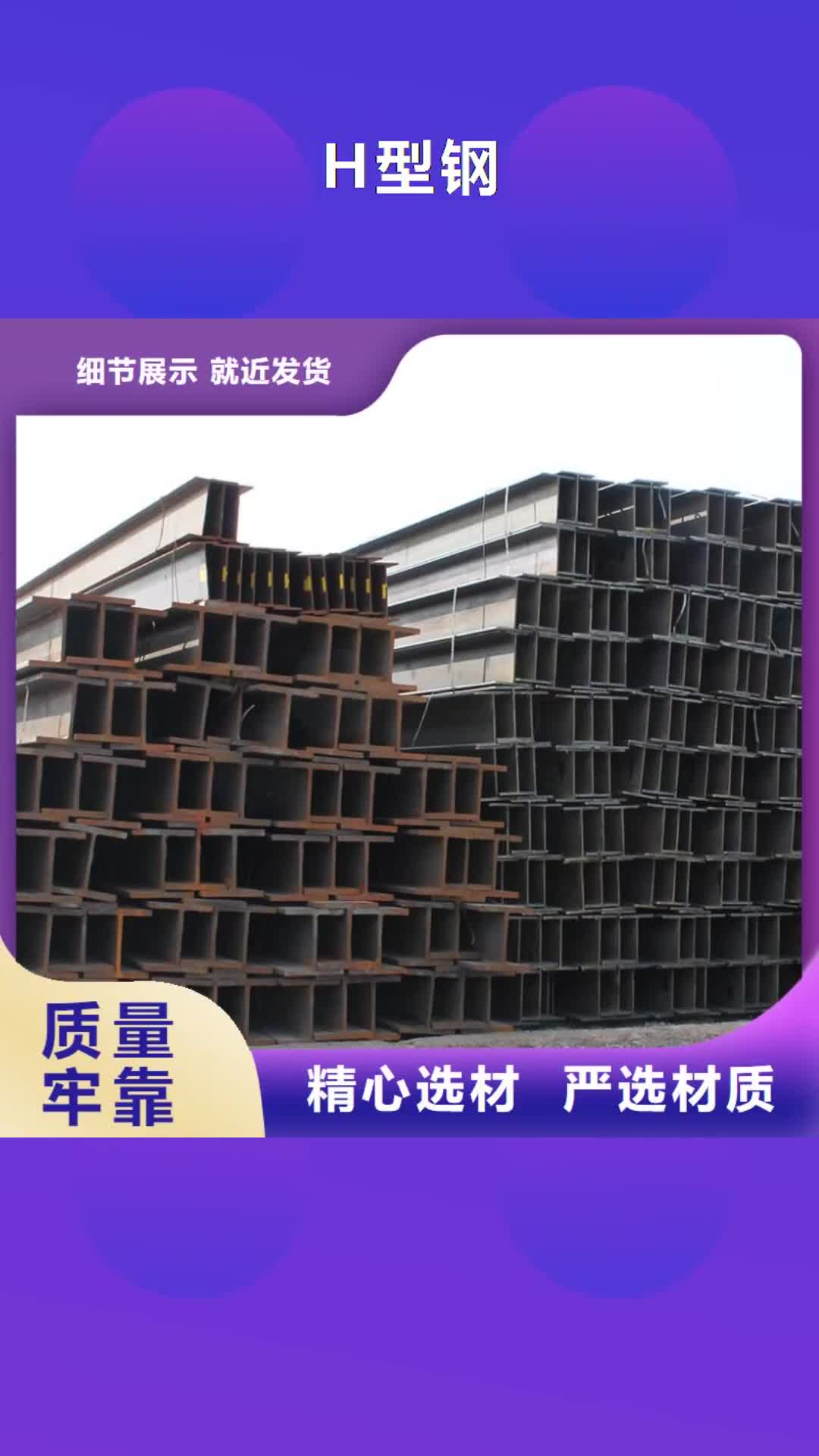 【拉萨 H型钢_热镀锌h型钢优选厂家】