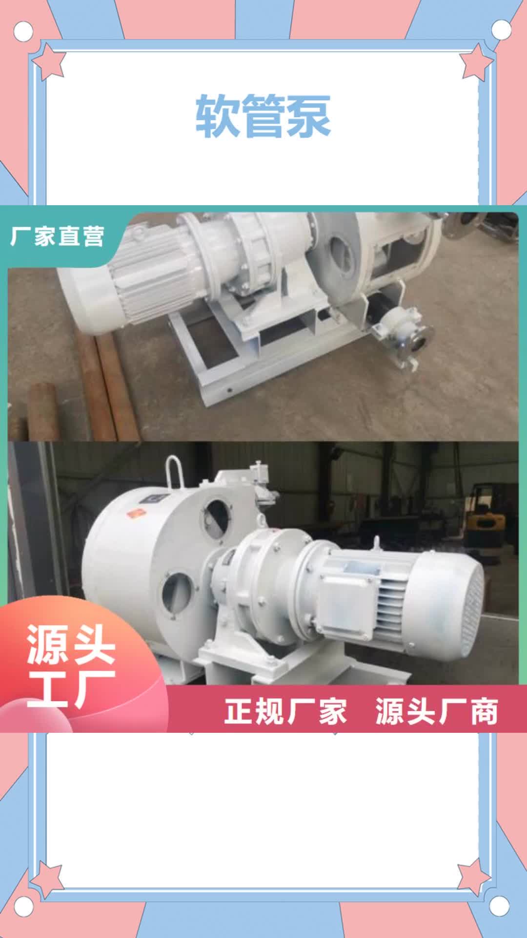 【珠海 软管泵,拦水带成型机精选厂家好货】