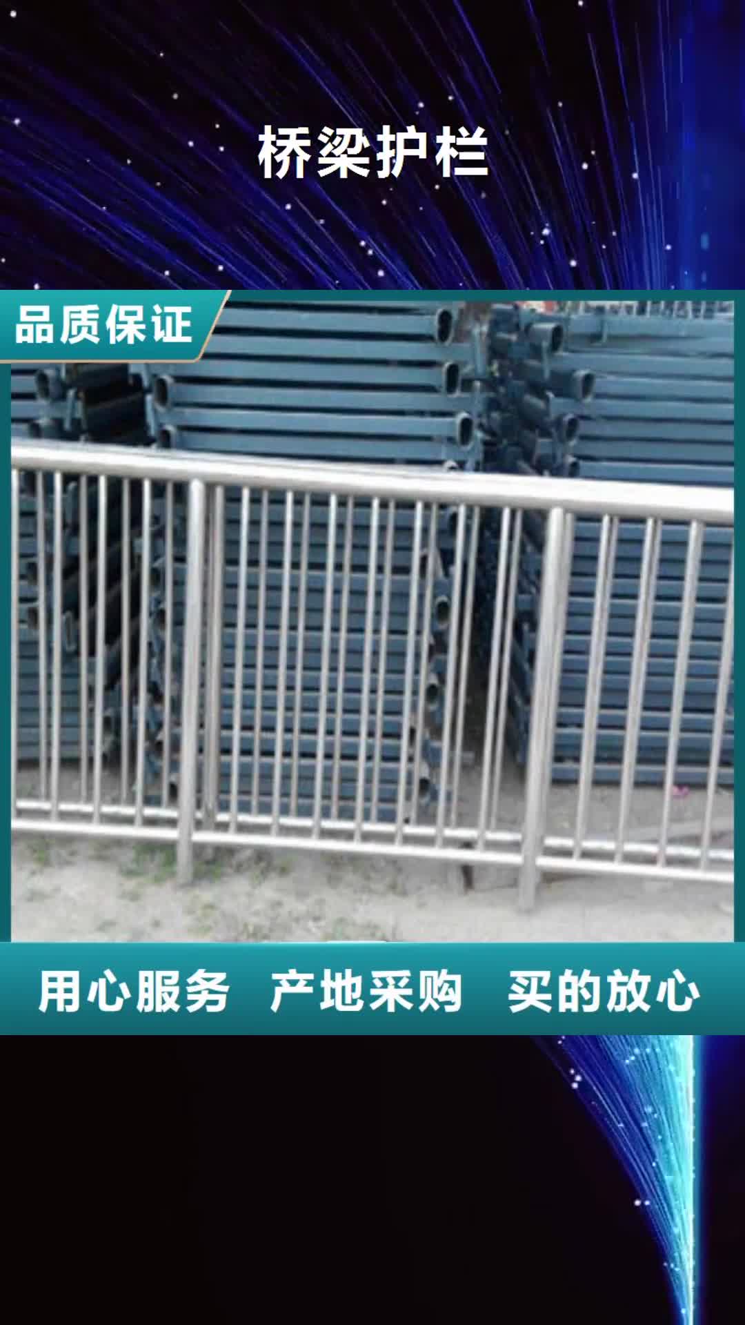 芜湖 桥梁护栏-【Q235钢板立柱】实力厂家