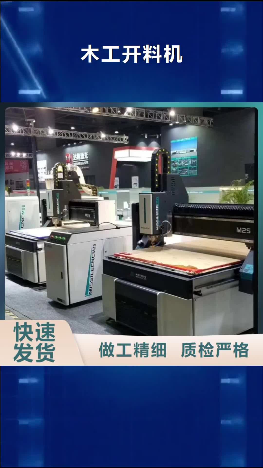 河源 木工开料机_【开料机】产品细节
