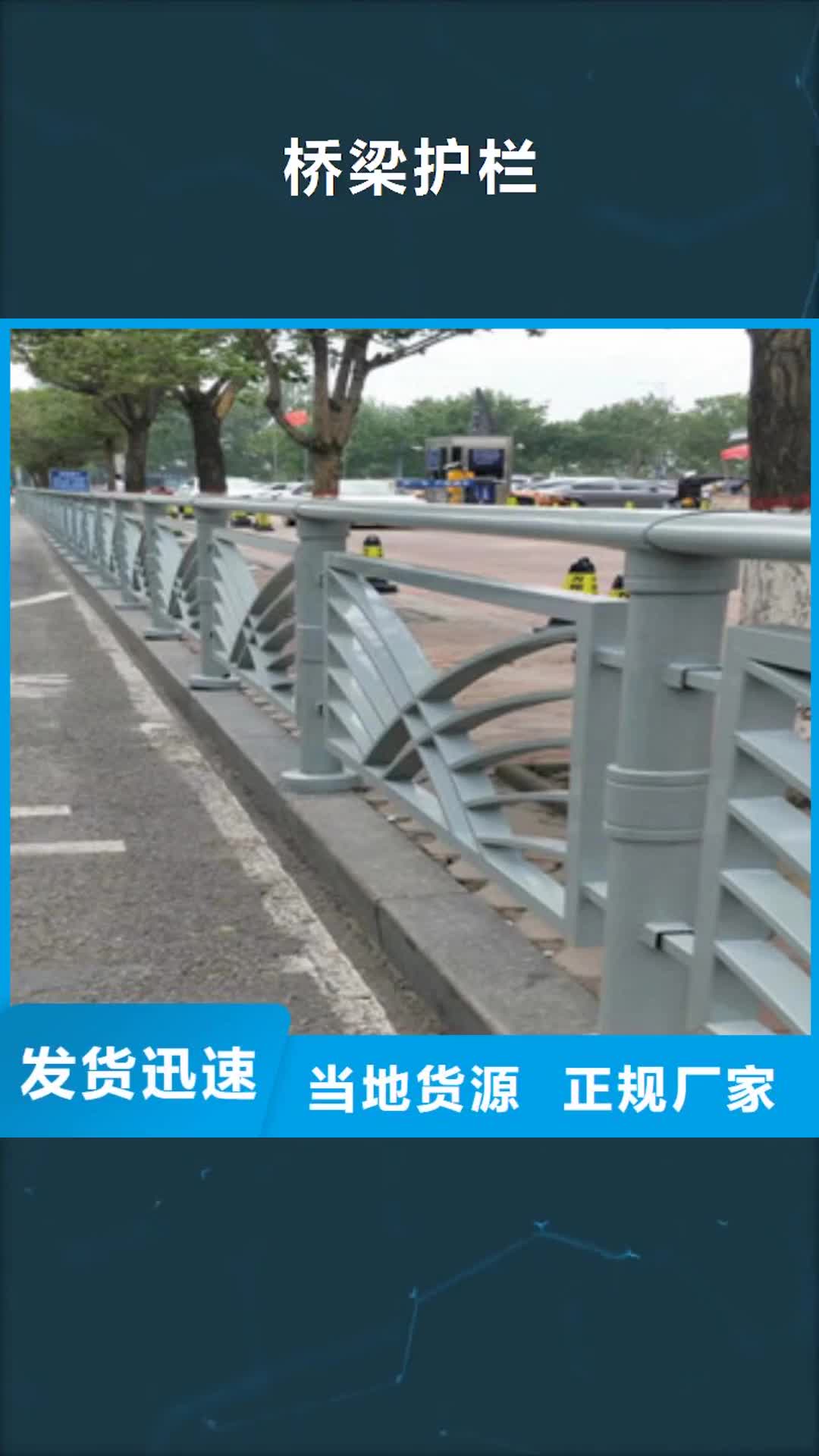 【怀化 桥梁护栏工期短发货快】