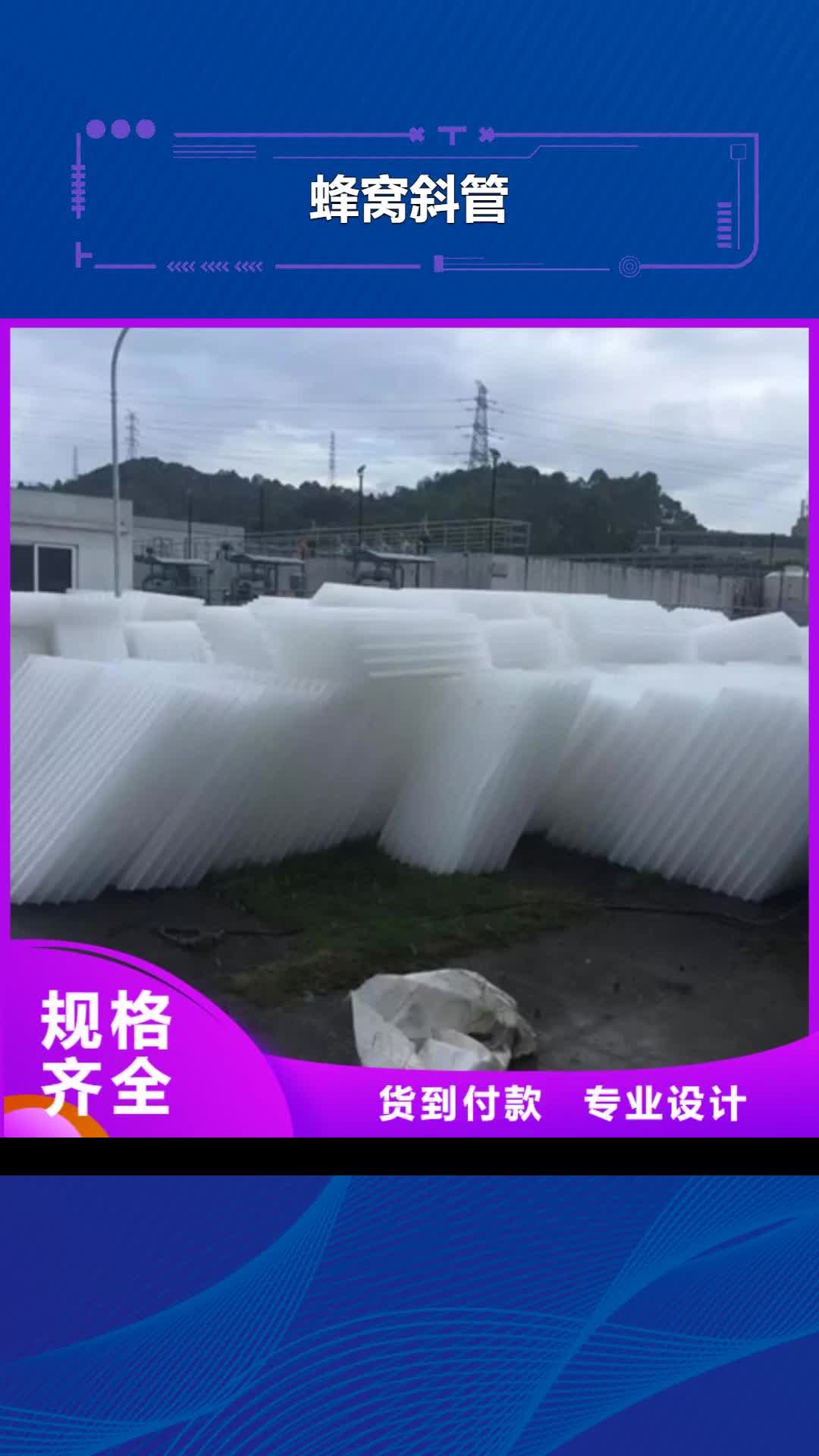 【香港 蜂窝斜管 沸石保质保量】