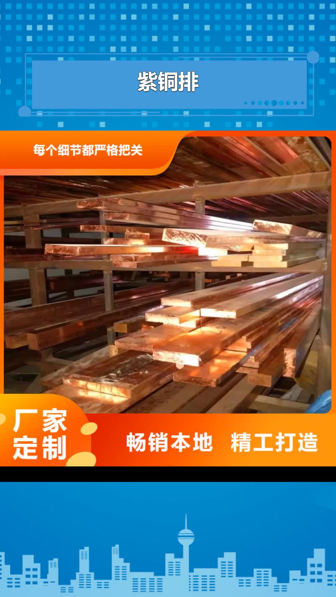 南通 紫铜排源厂直销