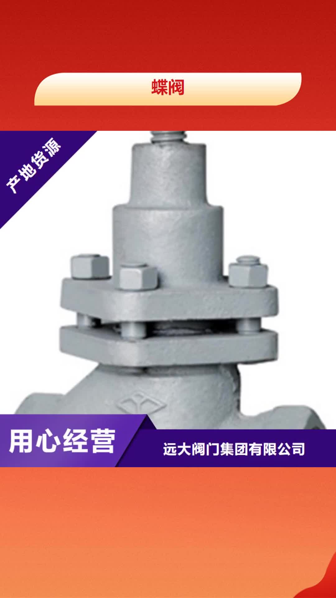 【益阳 蝶阀 远大阀门天津销售处价格实惠】