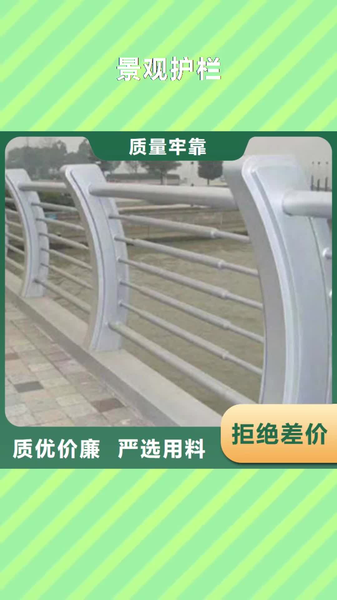 【武威 景观护栏-桥梁防撞护栏买的放心安兴用的舒心】