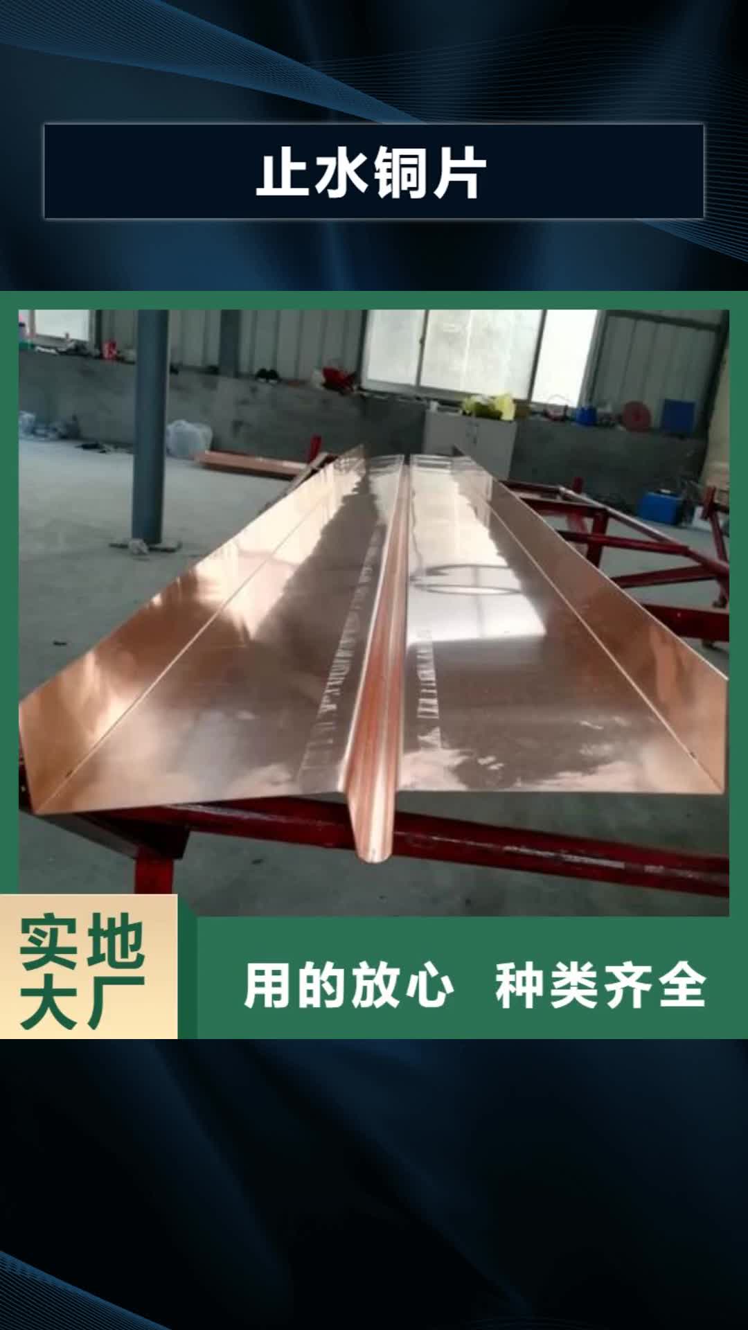 【甘南 止水铜片-PVC橡塑止水带实力厂家】