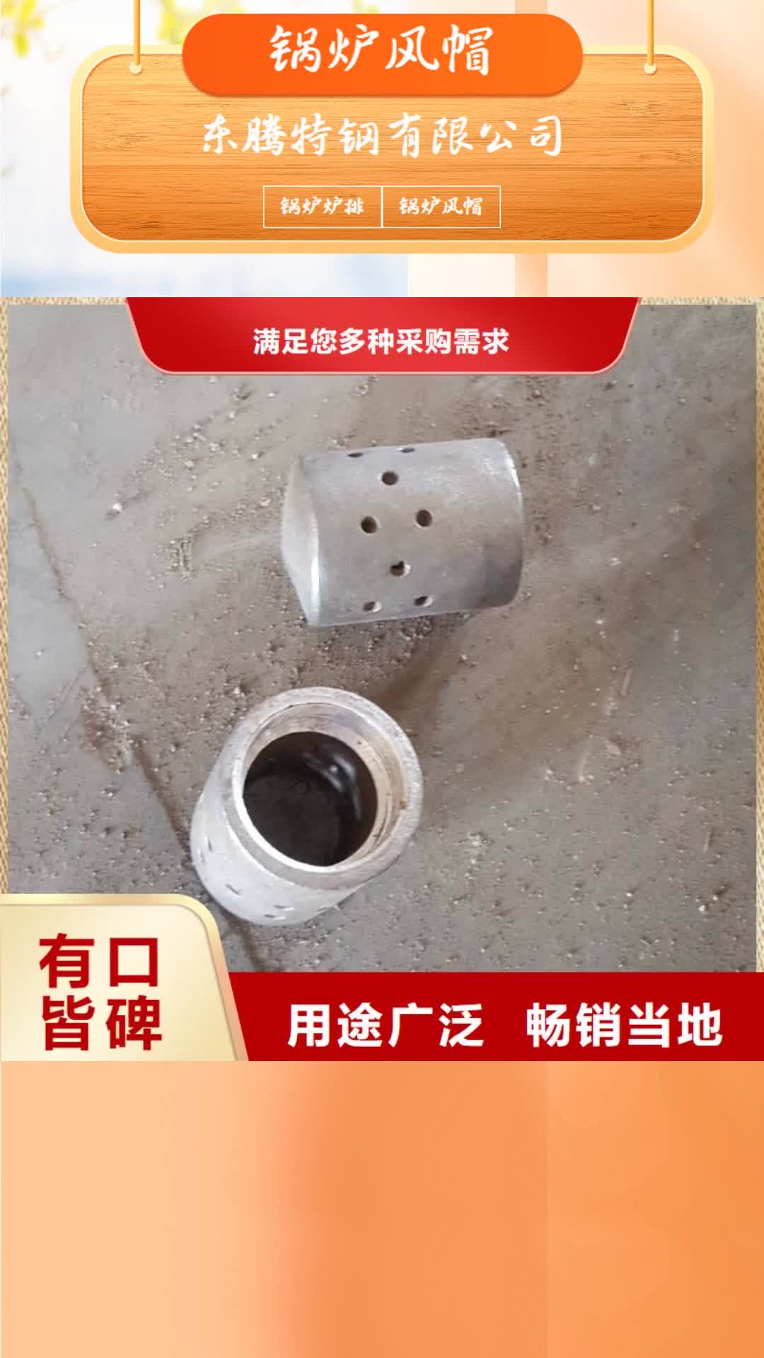 【乌鲁木齐 锅炉风帽_精密铸造来图来样定制】