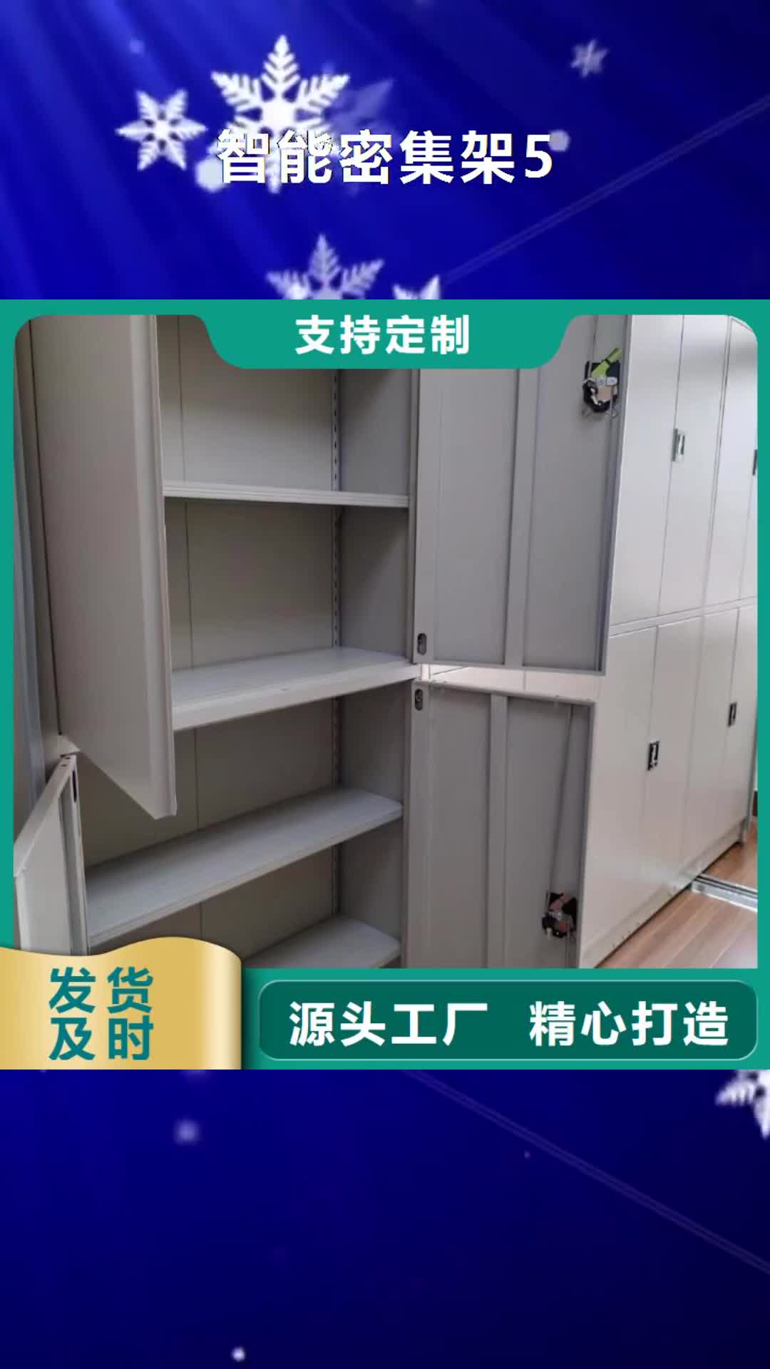 娄底 智能密集架5 【档案密集柜】源头厂家量大价优