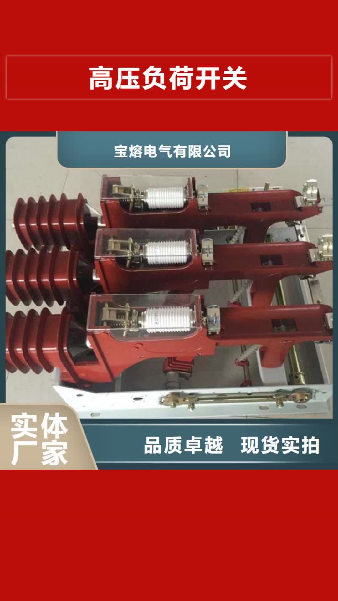 【长沙 高压负荷开关 高压限流熔断器多年实力厂家】