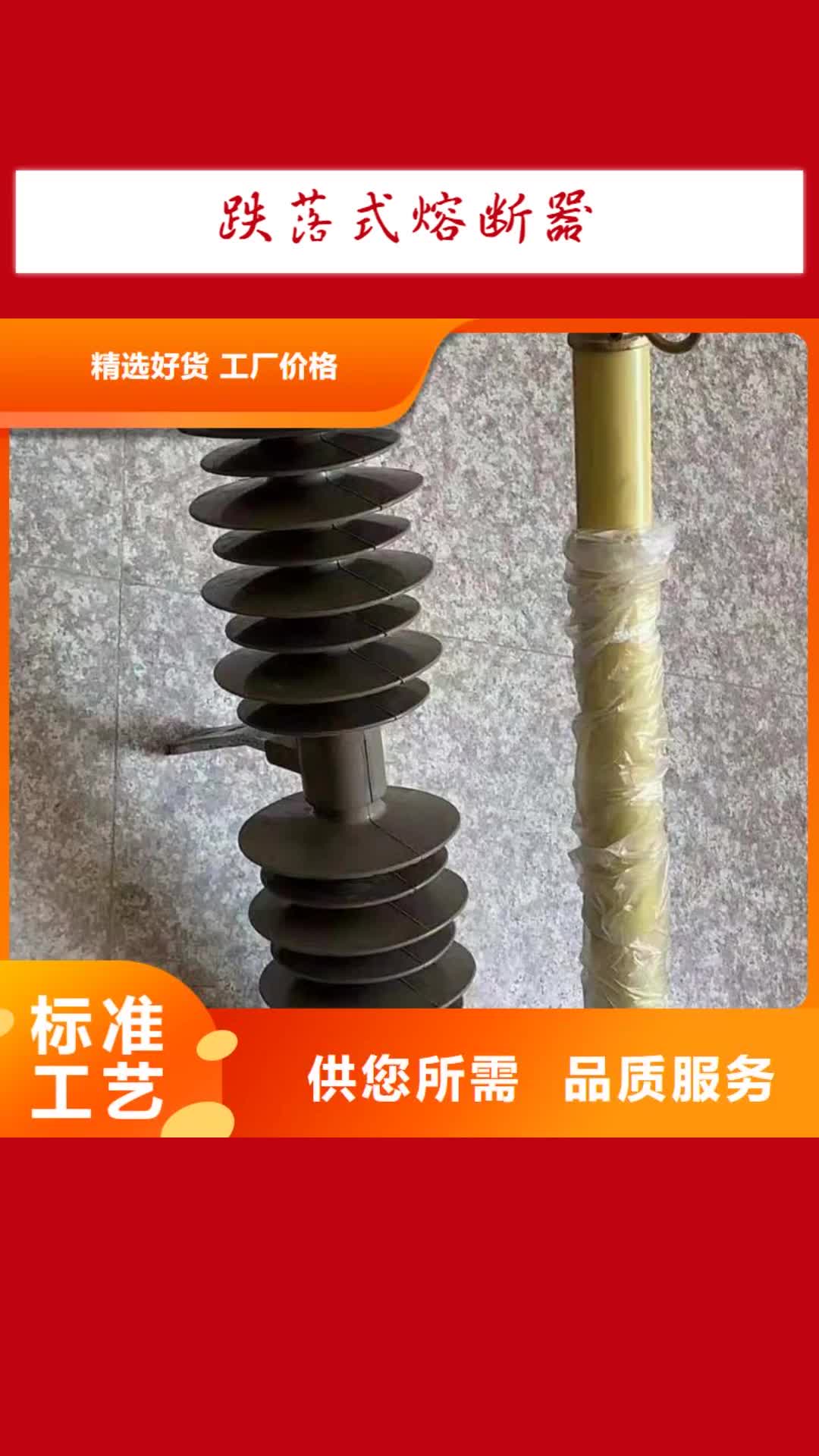 漯河 跌落式熔断器-【FKN12-12/630A】生产型