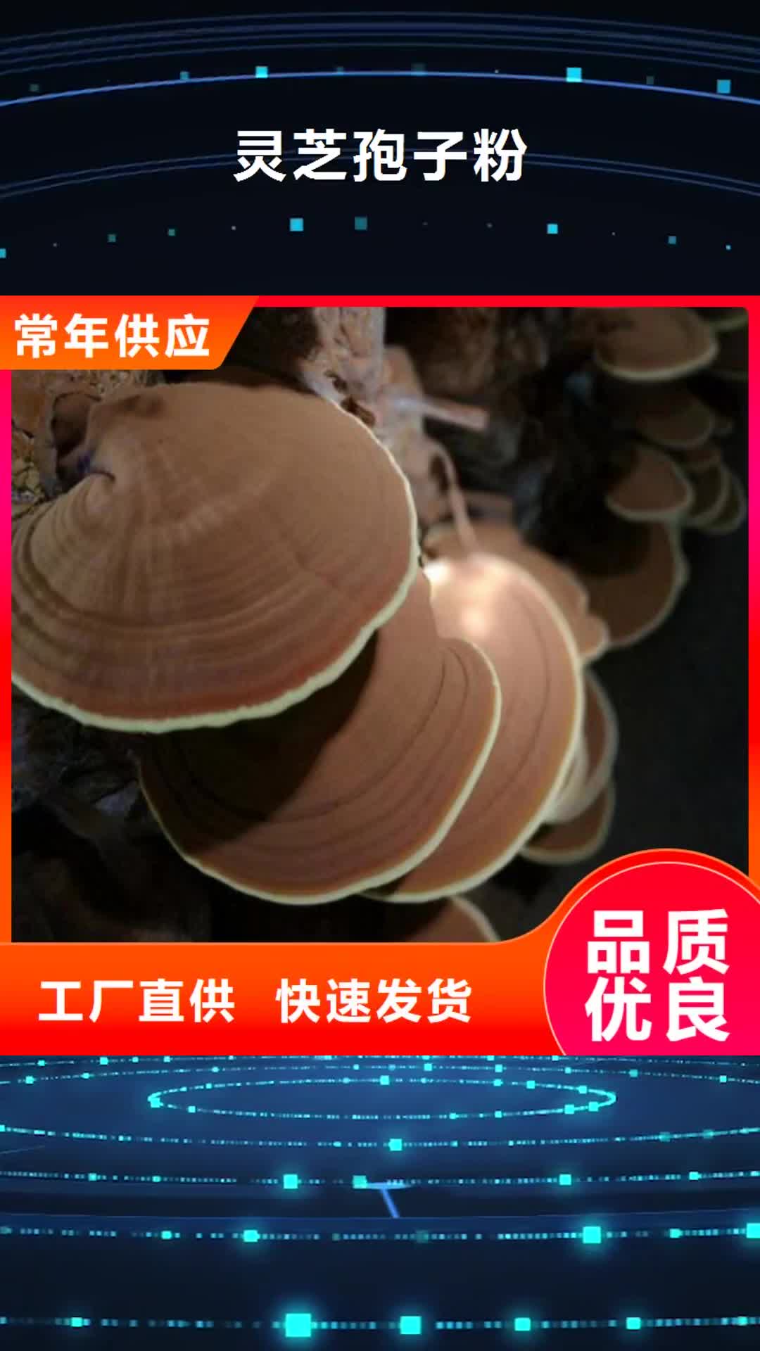 淮安 灵芝孢子粉库存丰富