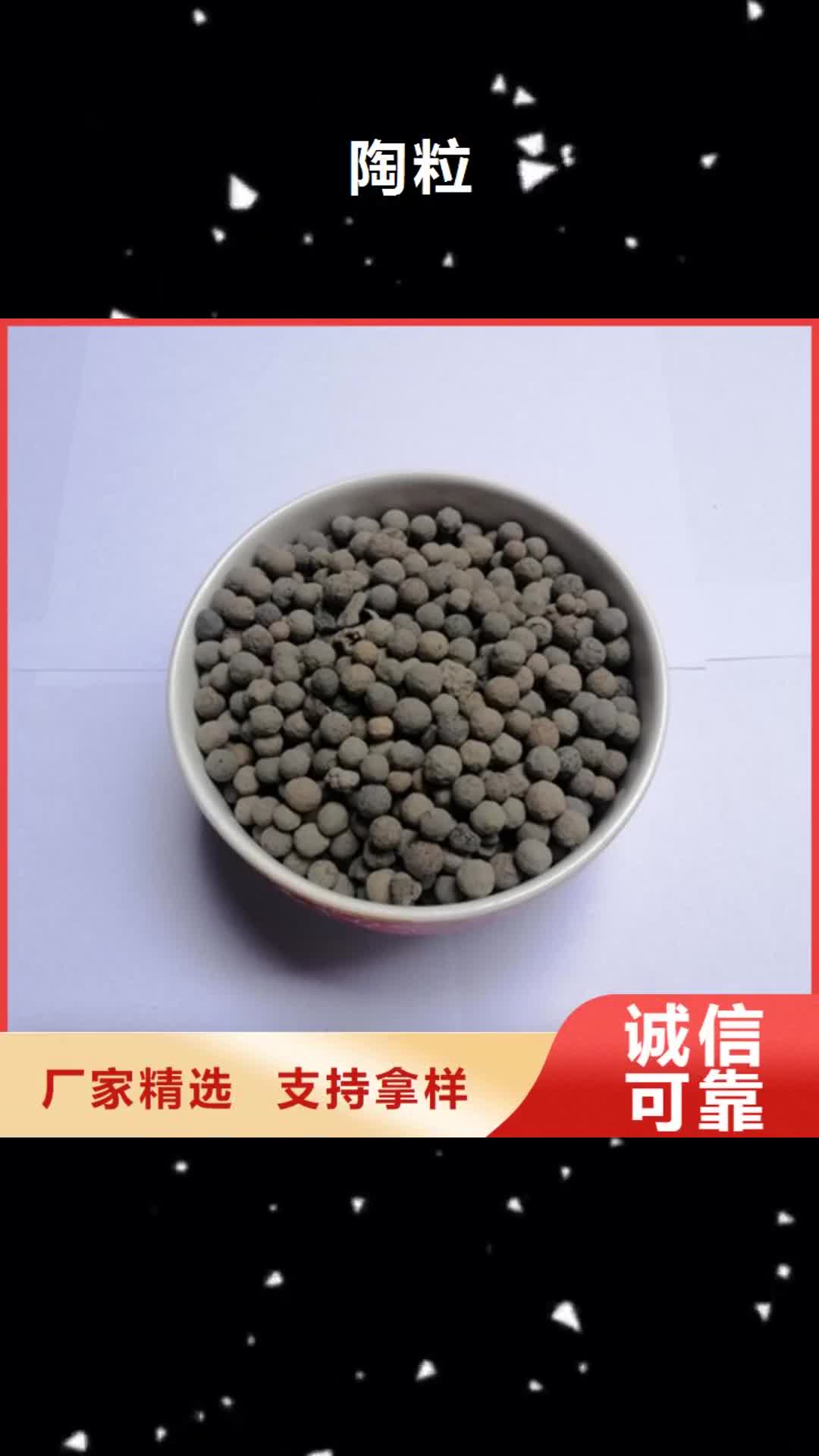 兰州【陶粒】-蜂窝活性炭支持大批量采购