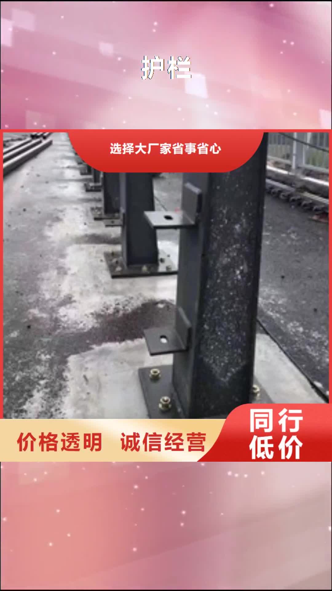 威海【护栏】 灯光护栏研发生产销售