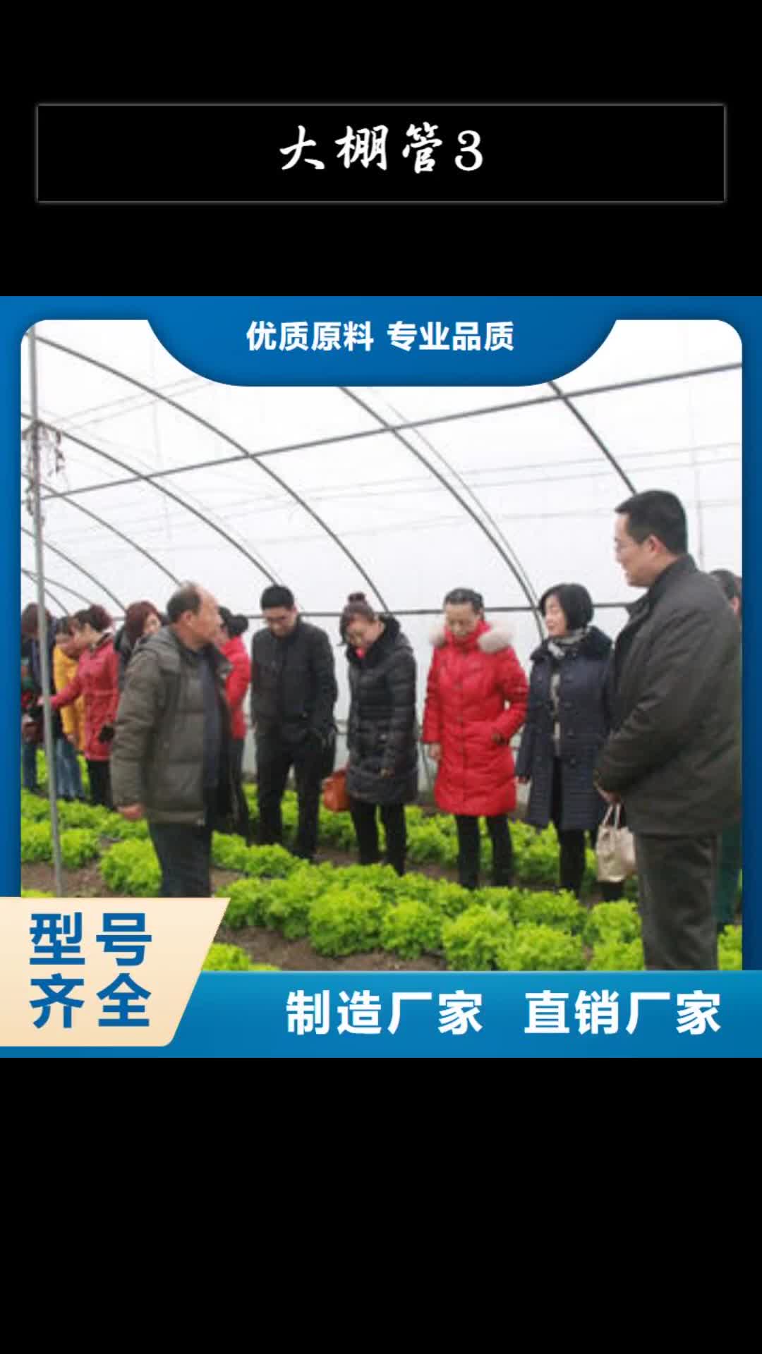 郴州大棚管3方矩管实力厂商
