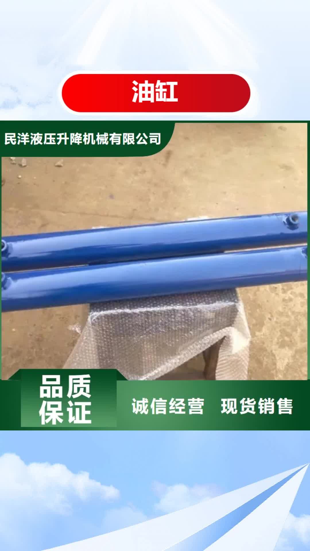 青岛【油缸】 传菜电梯厂家随到随提