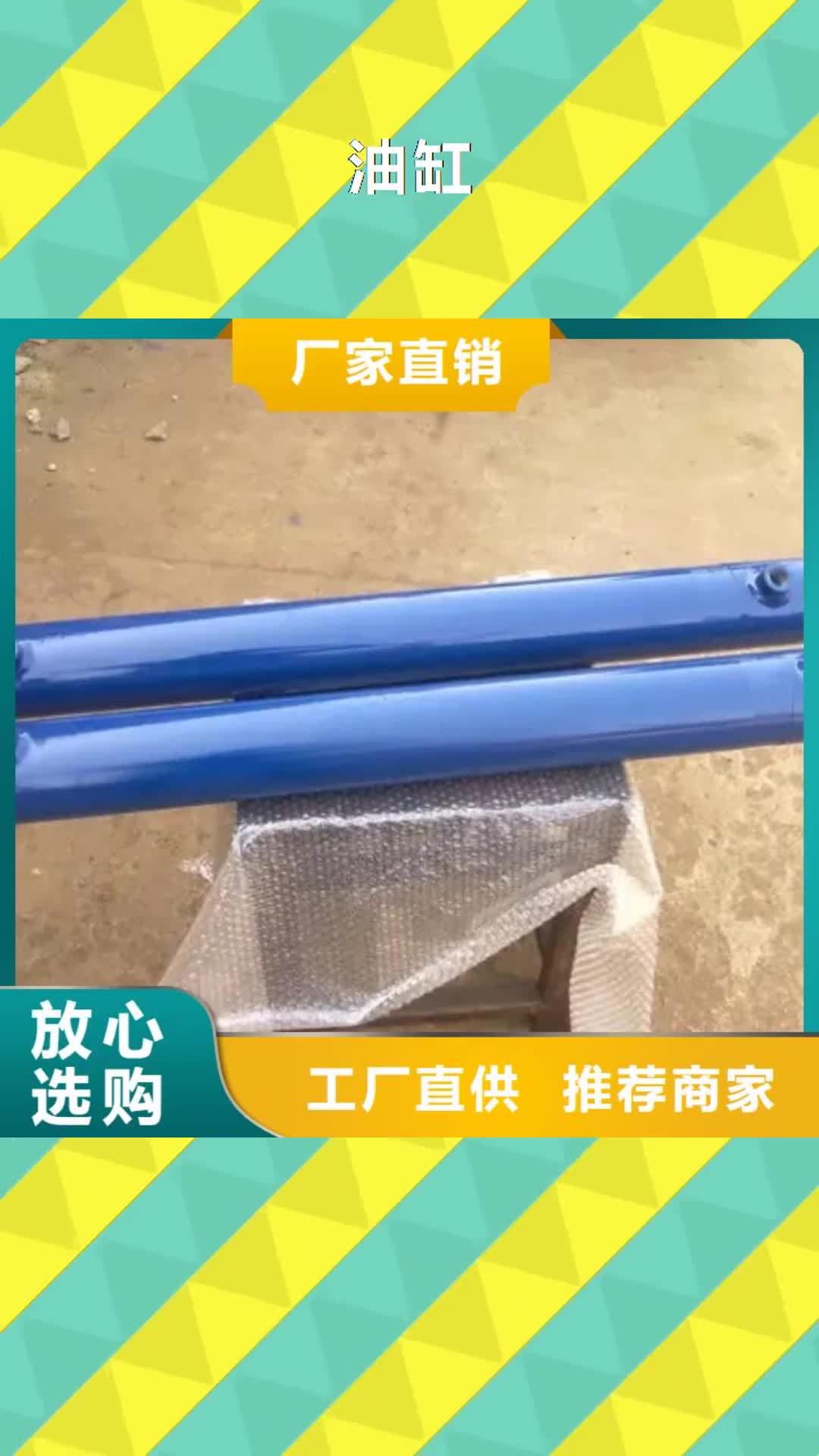 丹东 油缸【传菜电梯厂家】实体厂家