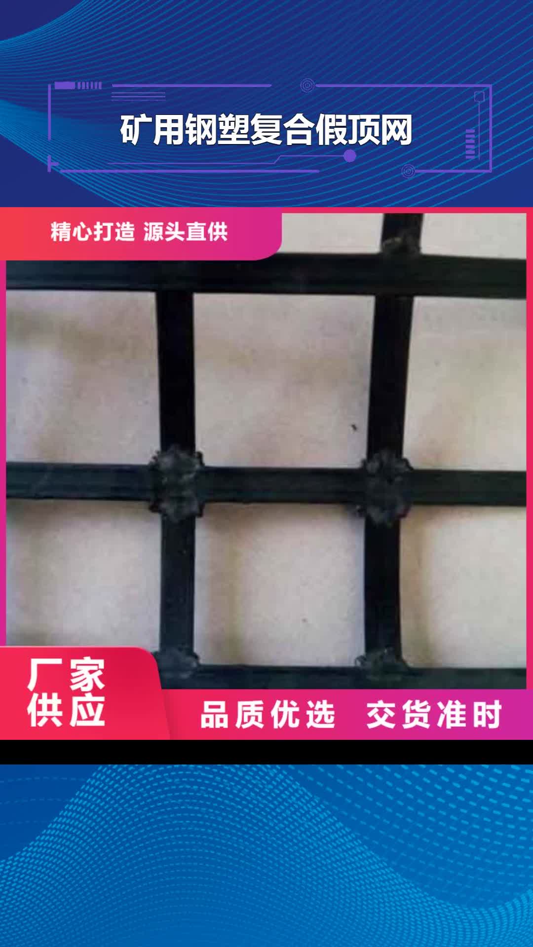 兰州【矿用钢塑复合假顶网】,三维植被网买的放心