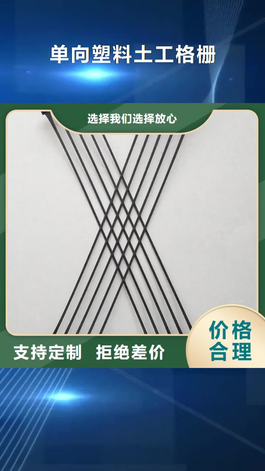 襄阳【单向塑料土工格栅】 三维复合排水网现货快速采购