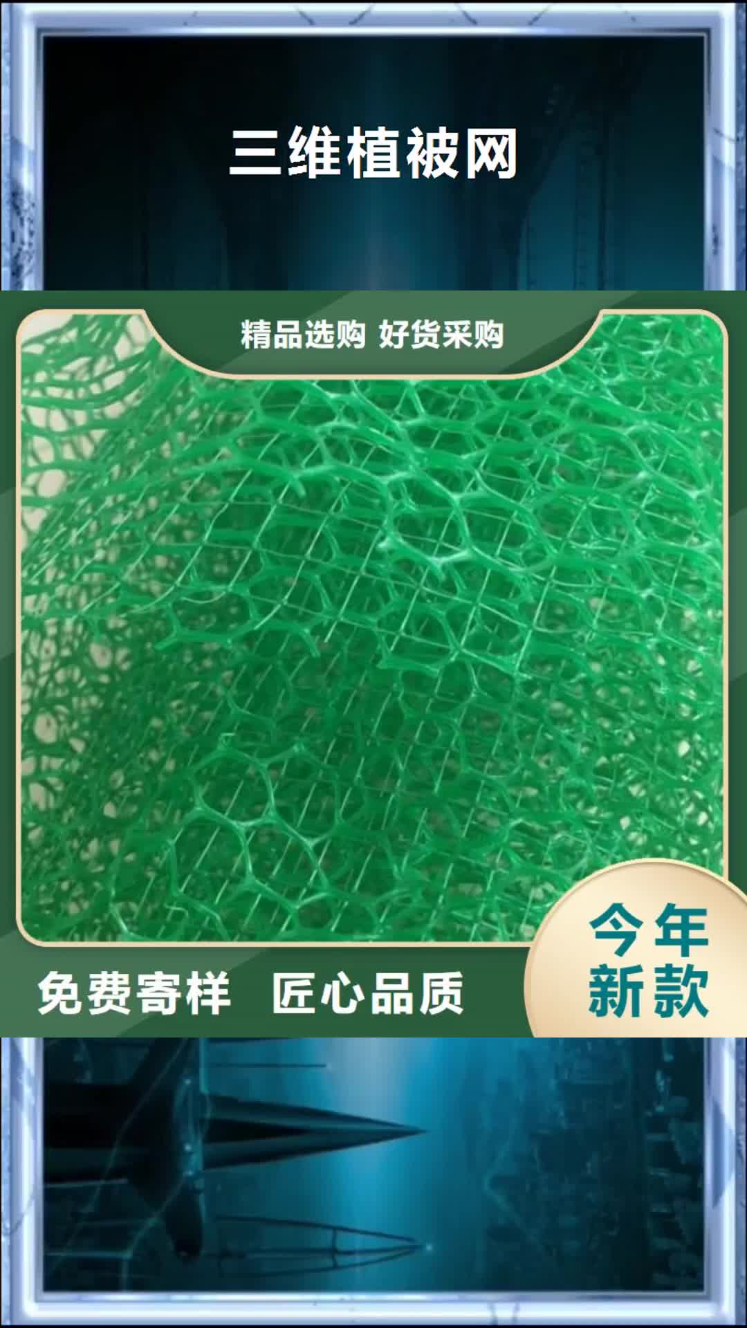 汕头【三维植被网】_蜂巢格室用好材做好产品