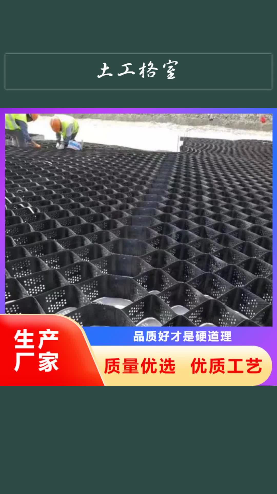 淮南 土工格室-【膨润土防水毯】价格公道合理