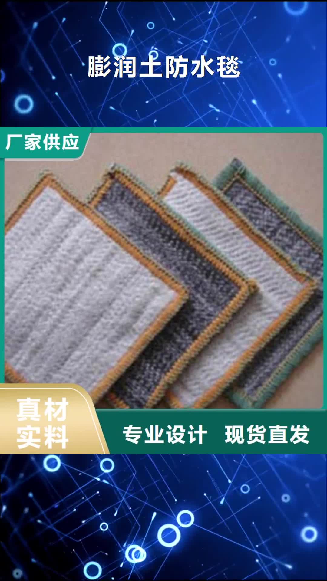 福建 膨润土防水毯_【土工布】产地直销