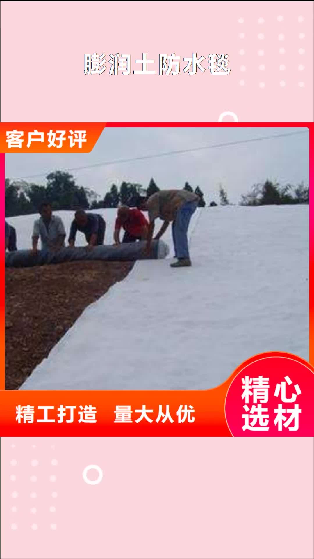 【金昌 膨润土防水毯软式透水管厂家直营】
