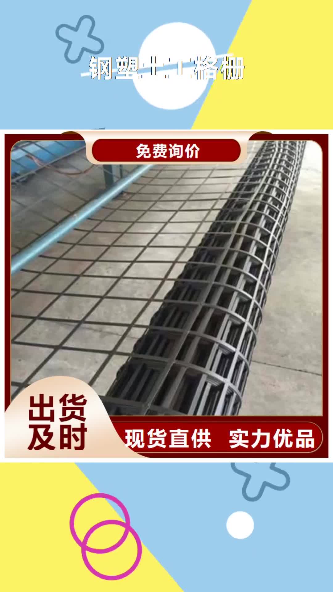台湾 钢塑土工格栅,【双向土工格栅】源厂直销