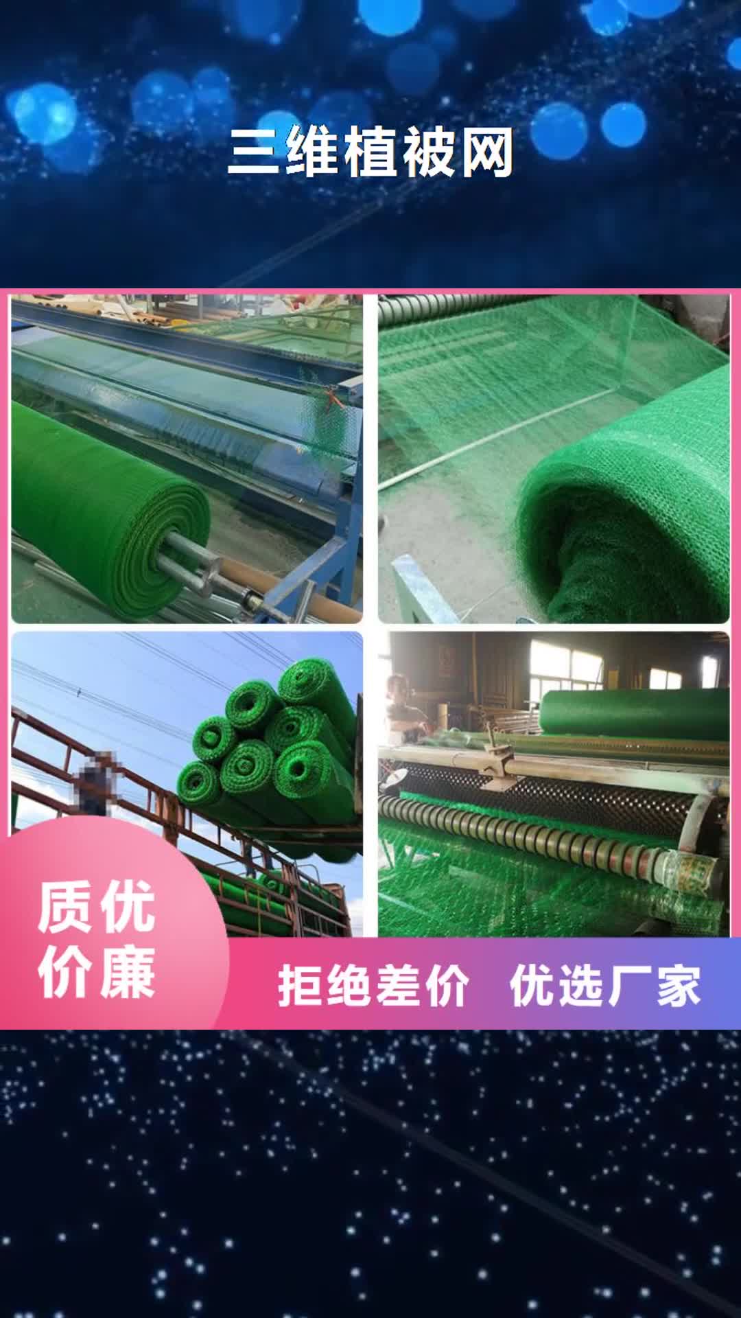 焦作 三维植被网【养护土工布】标准工艺