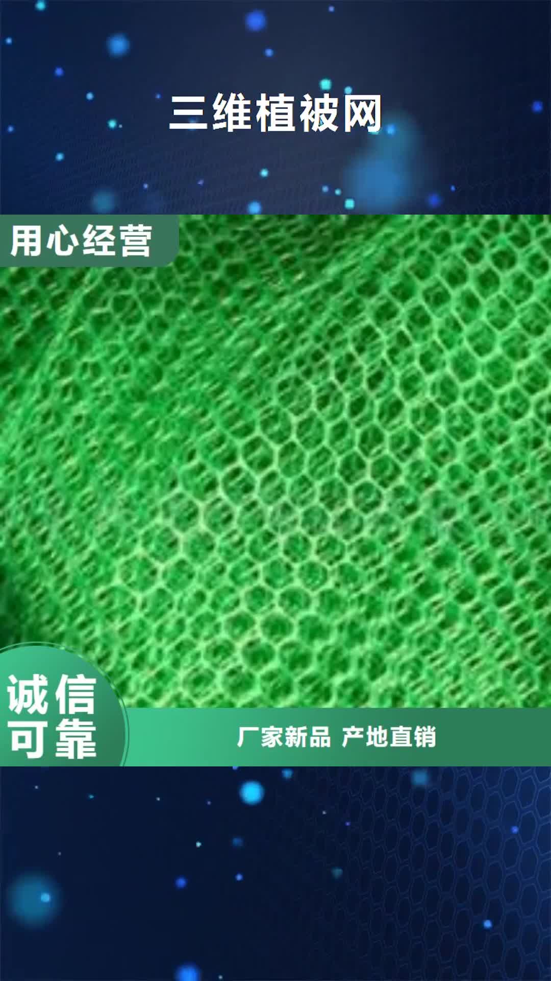 新余【三维植被网】涤纶格栅放心得选择
