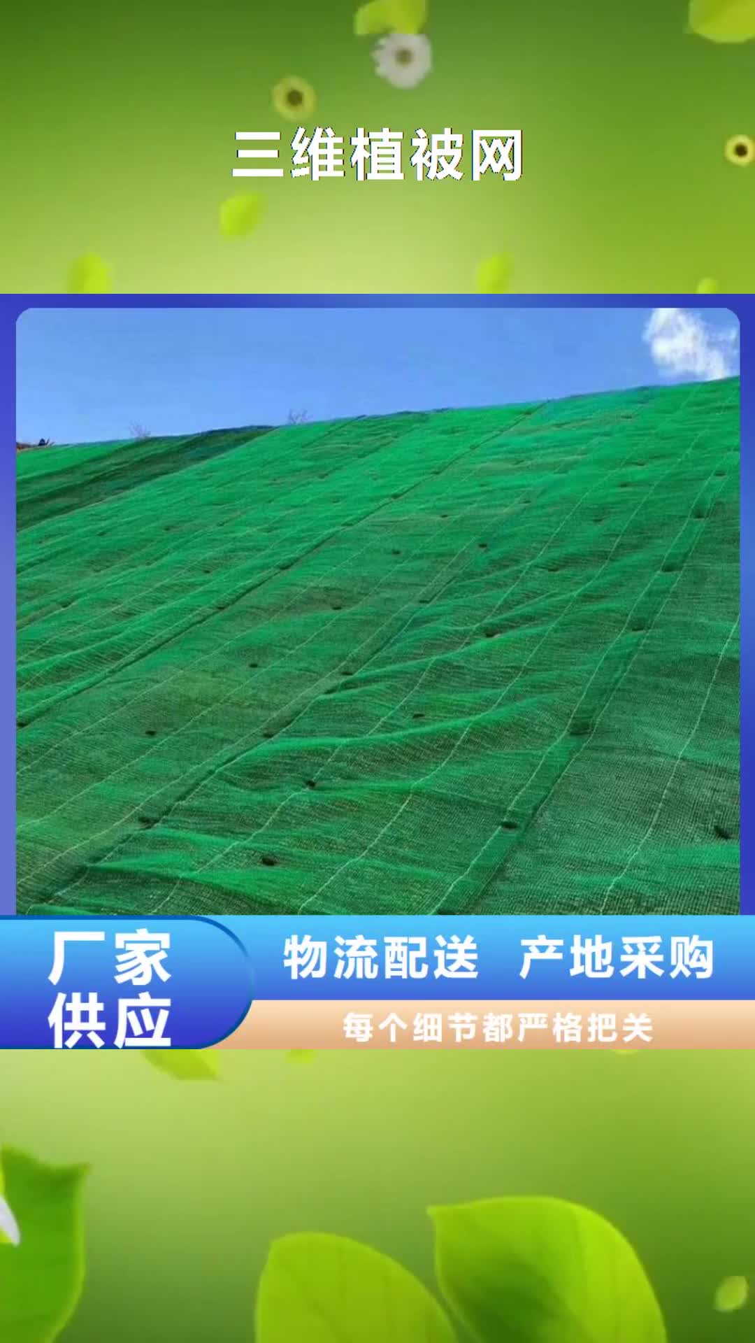 淮安【三维植被网】涤纶格栅懂您所需