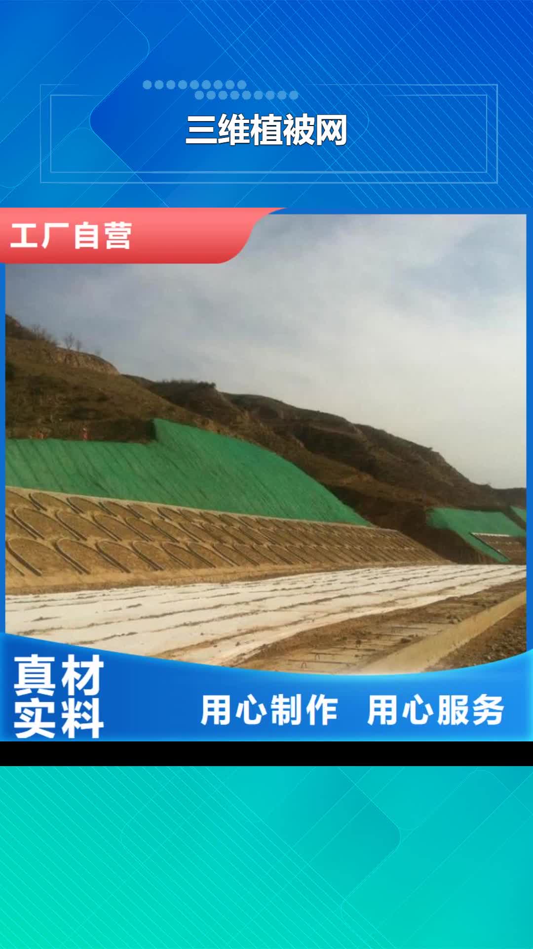成都 三维植被网-【单向塑料格栅】售后服务完善