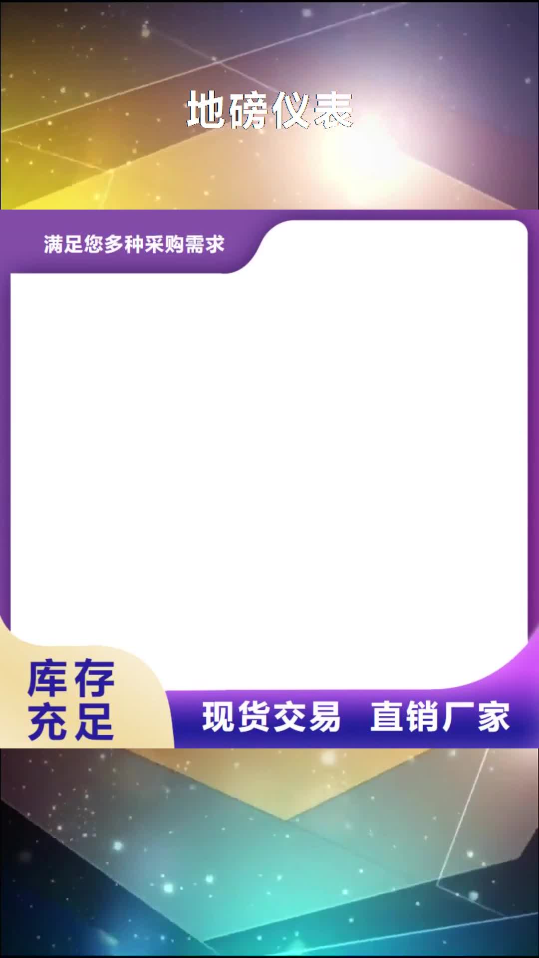 【鄂州 地磅仪表-地磅厂家产品细节】