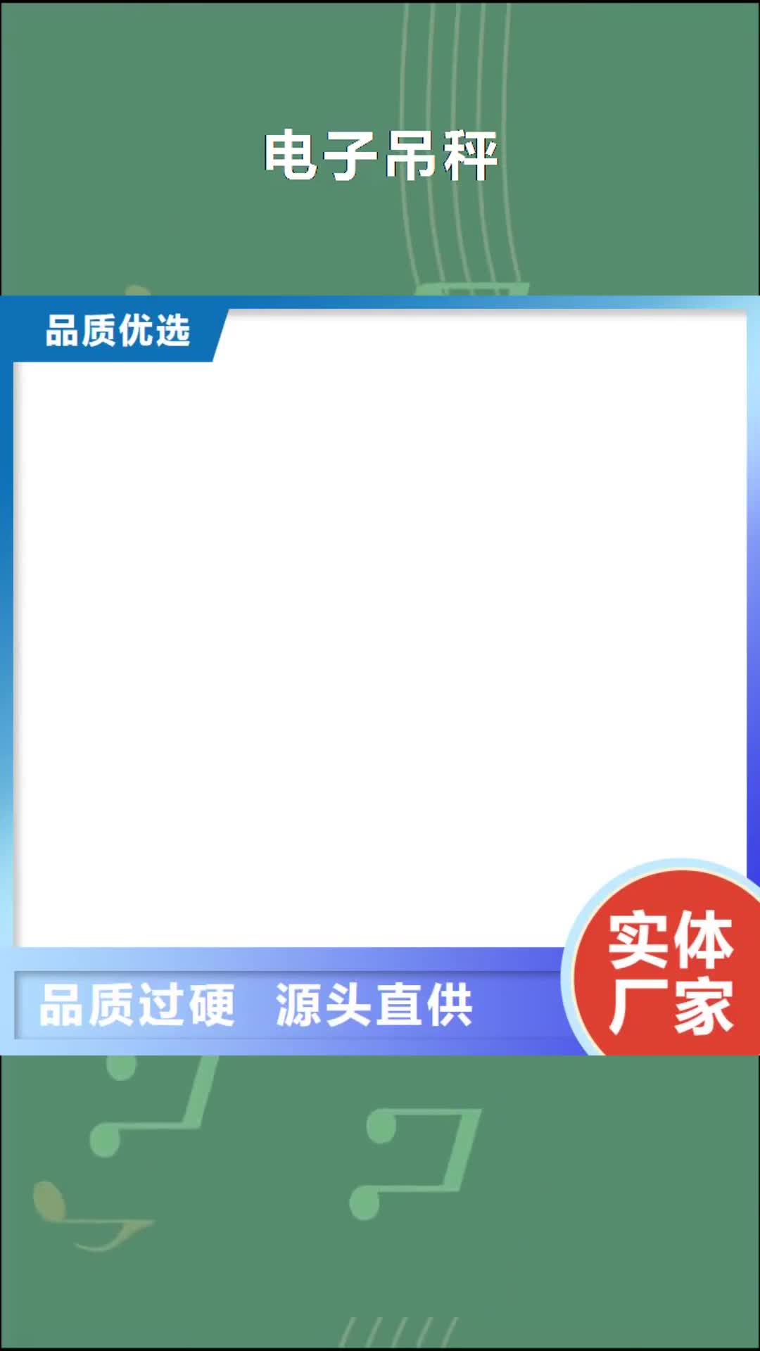 定西【电子吊秤】_电子吊磅厂家现货供应