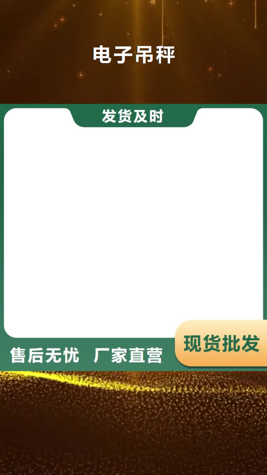 【十堰 电子吊秤-防爆地磅供您所需】