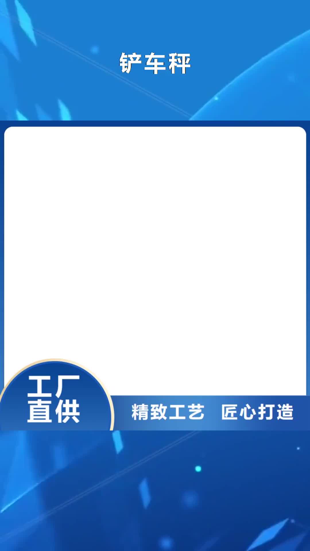 山西 铲车秤【电子地磅维修】厂家供应