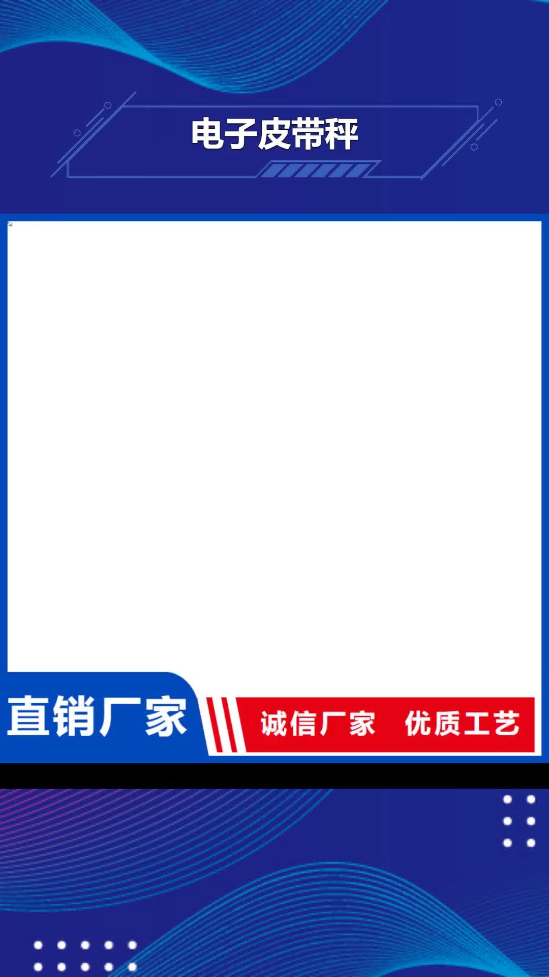 【沈阳 电子皮带秤 地磅厂家新品】