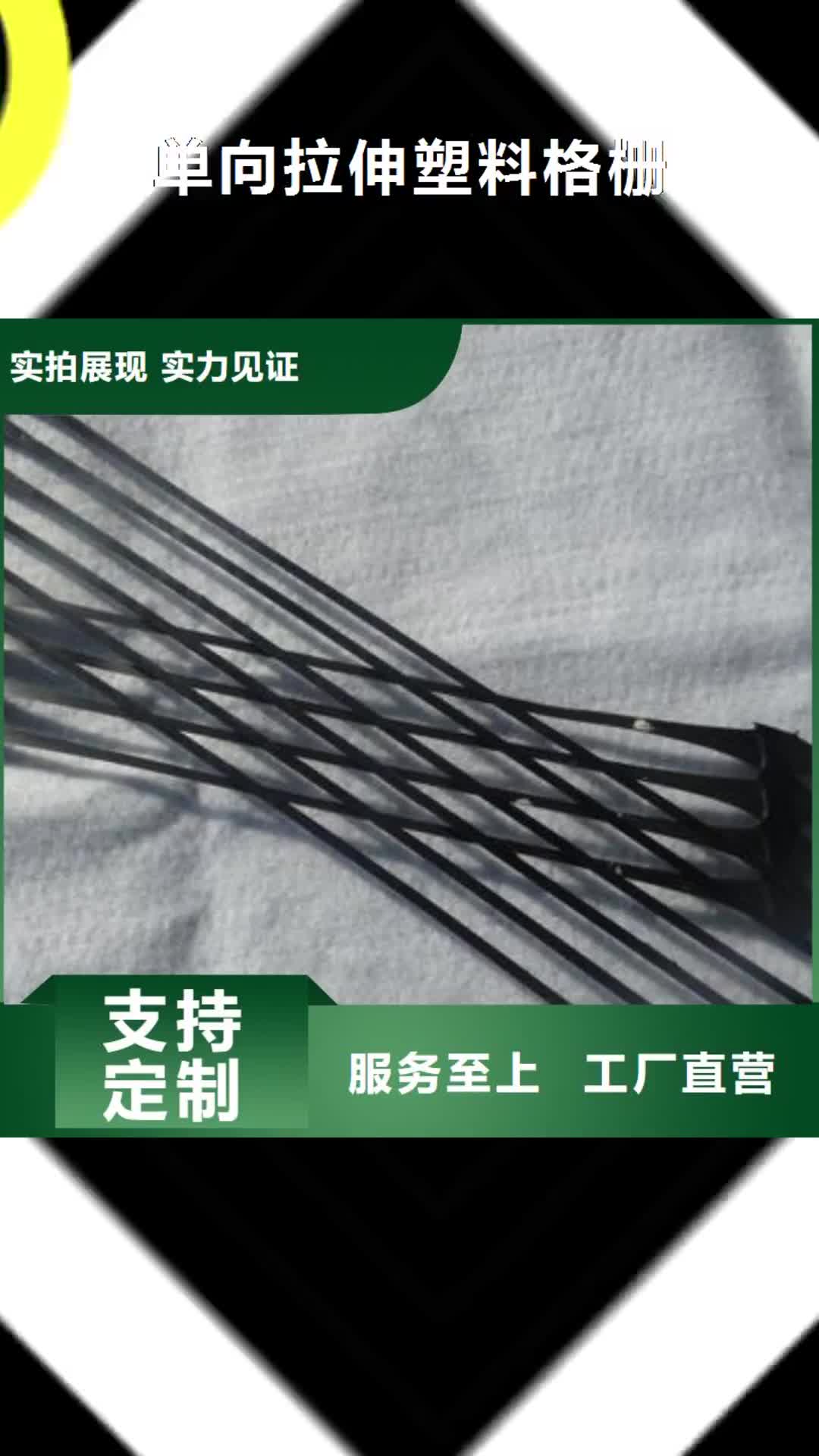 【钦州 单向拉伸塑料格栅钢塑土工格栅质量看得见】