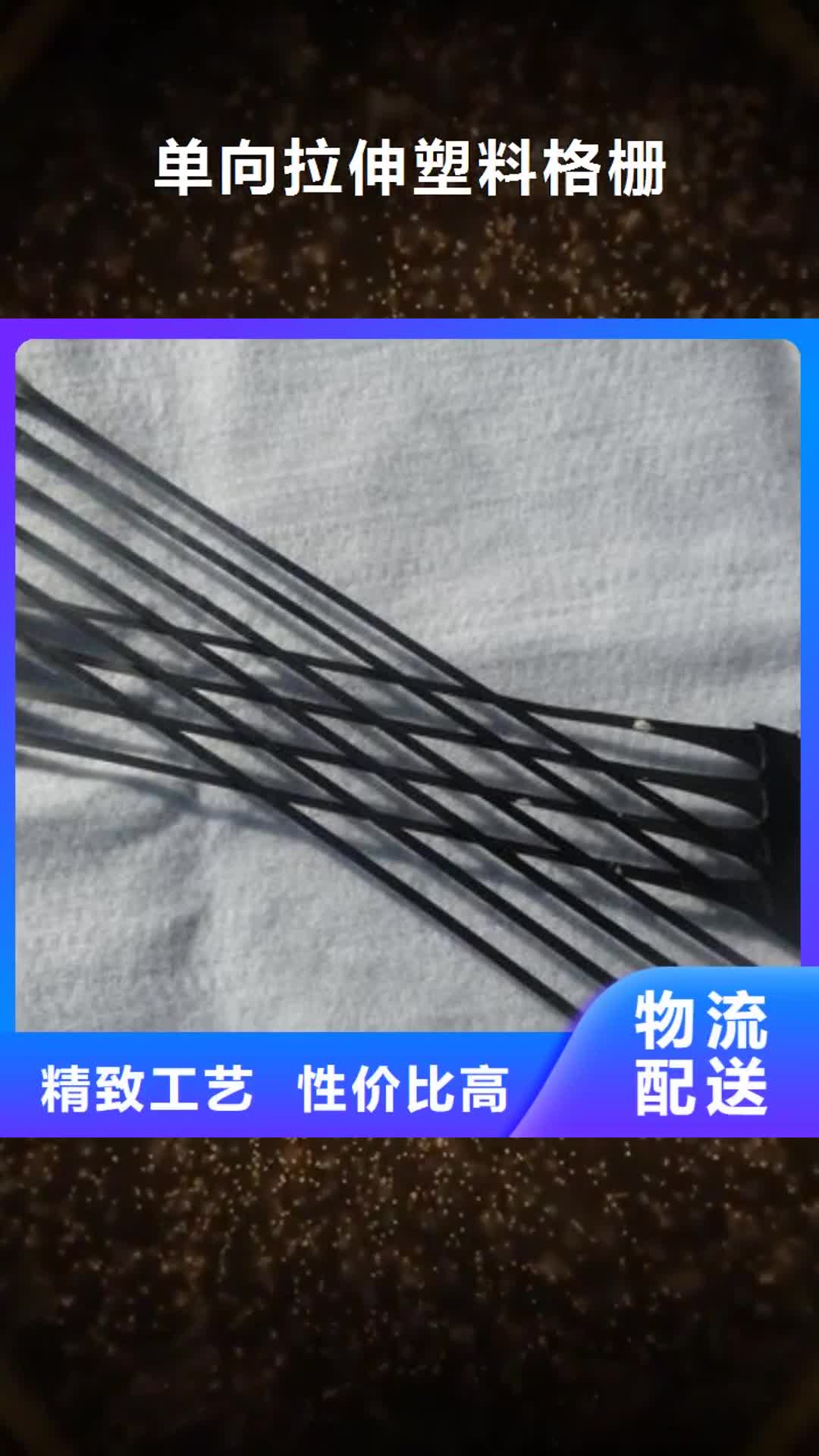 济宁 单向拉伸塑料格栅保障