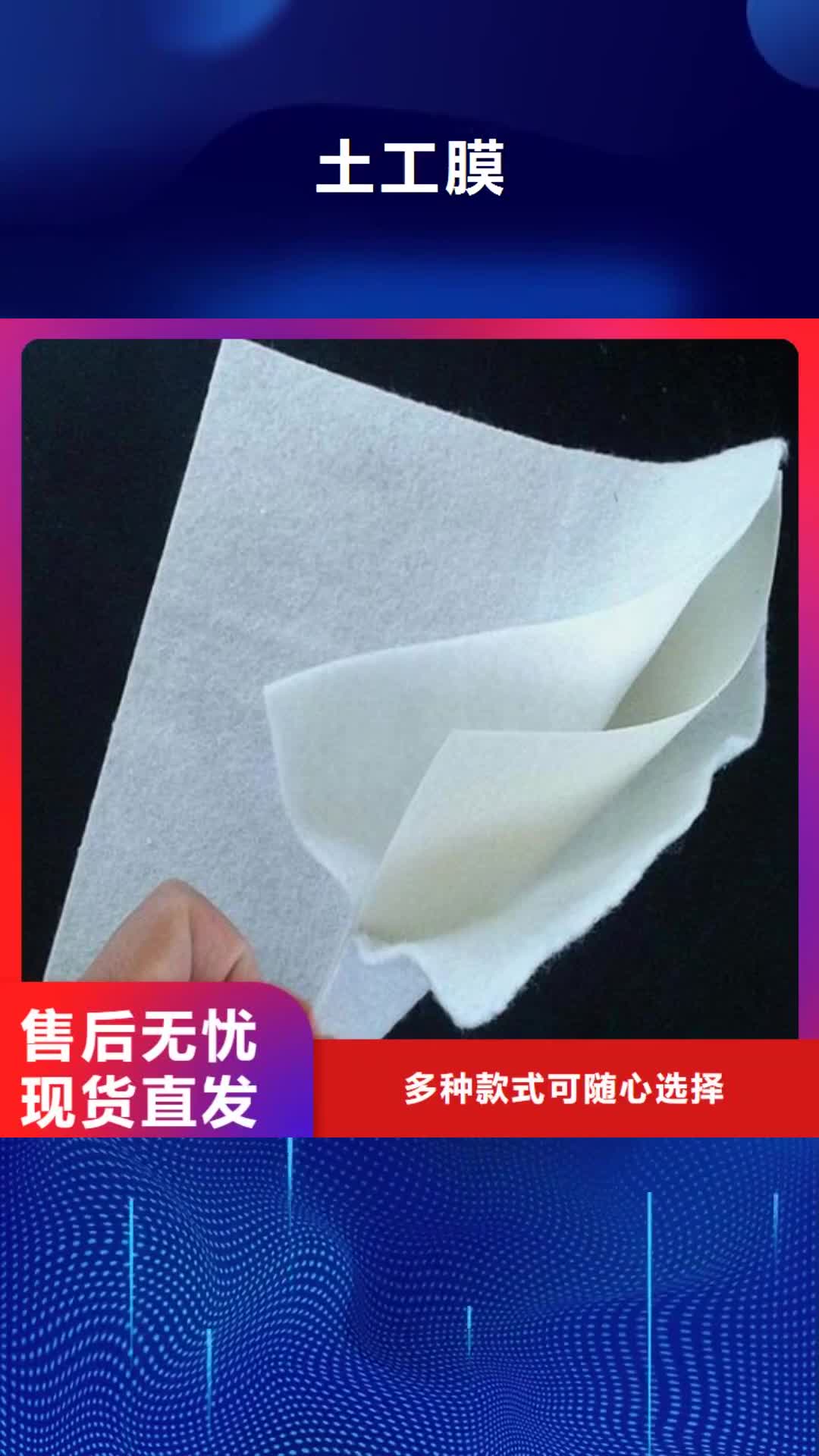 六安 土工膜_【三维复合排水网】源头实体厂商