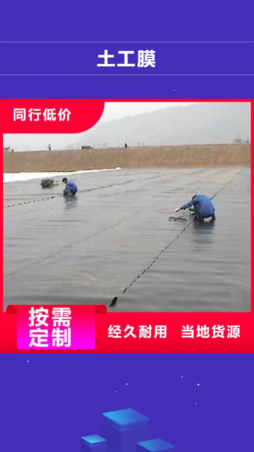 安顺 土工膜,【三维复合排水网】正规厂家