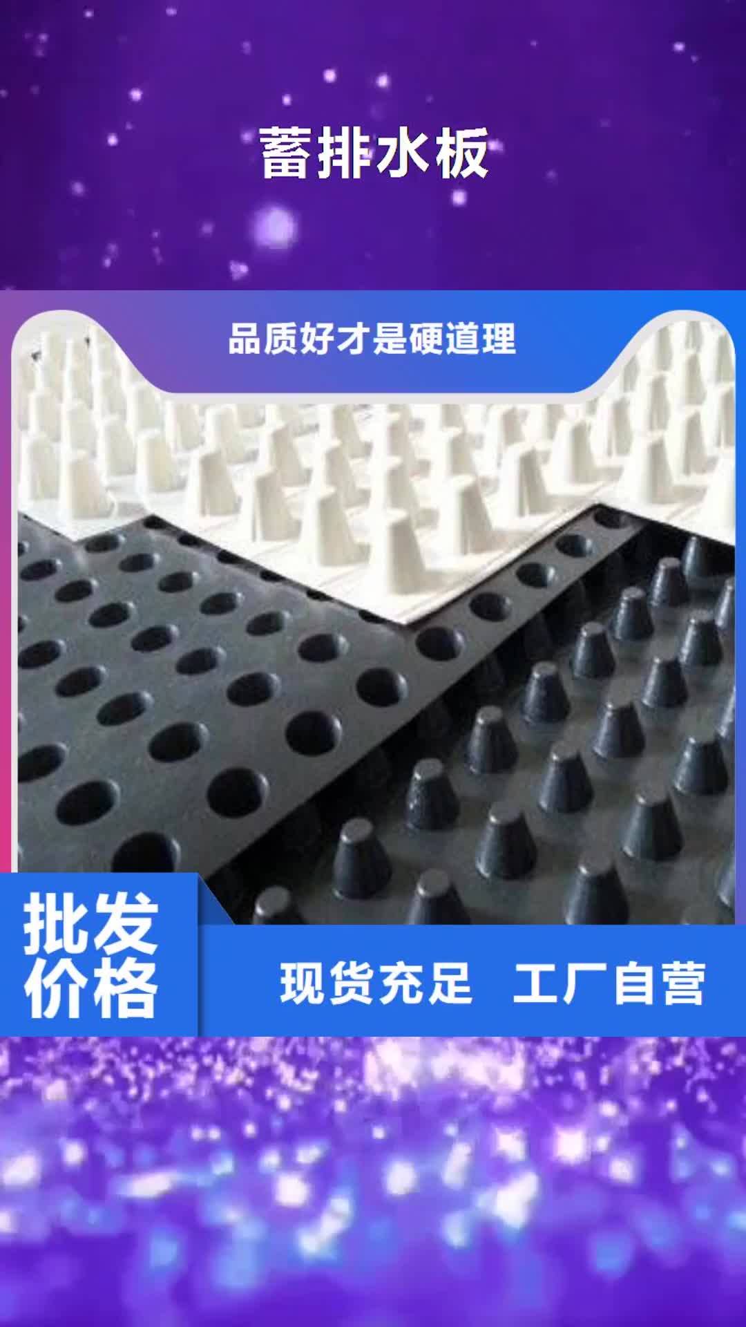 【凉山 蓄排水板-三维复合排水网检验发货】