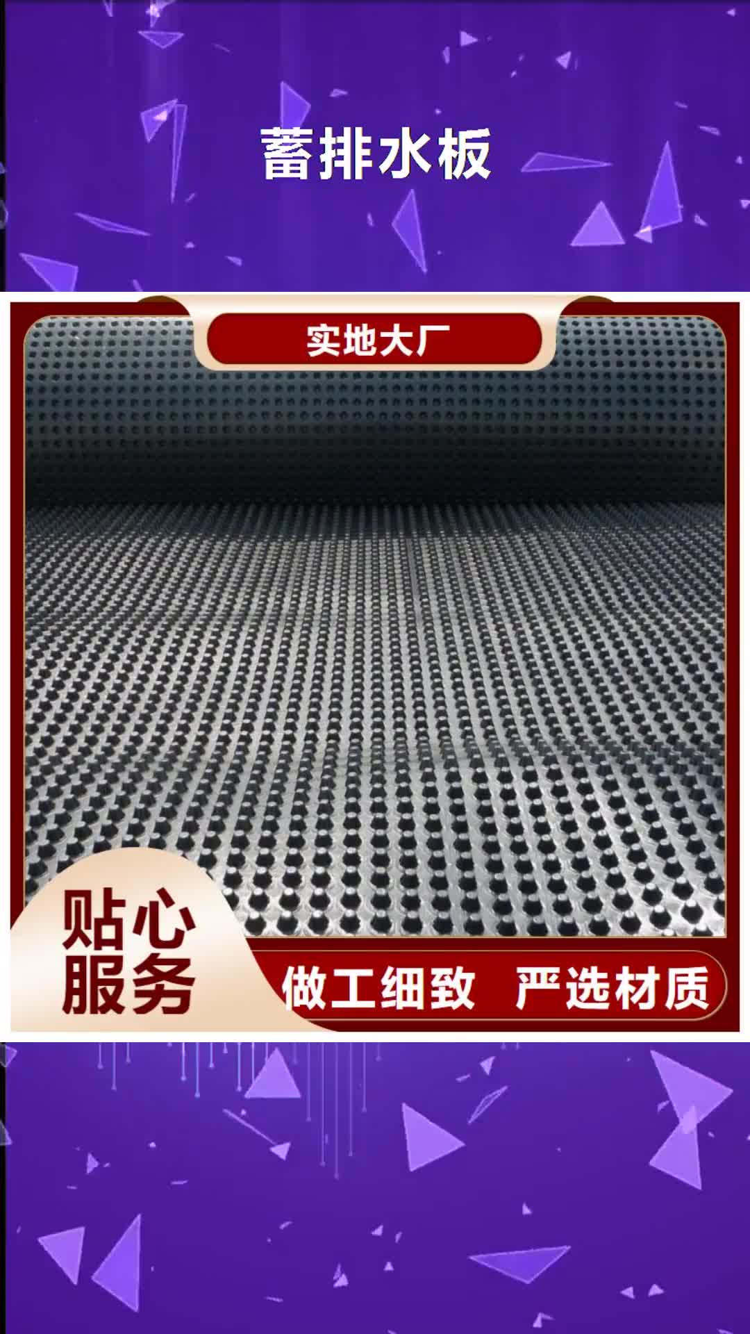 镇江【蓄排水板】,三维复合排水网细节决定成败