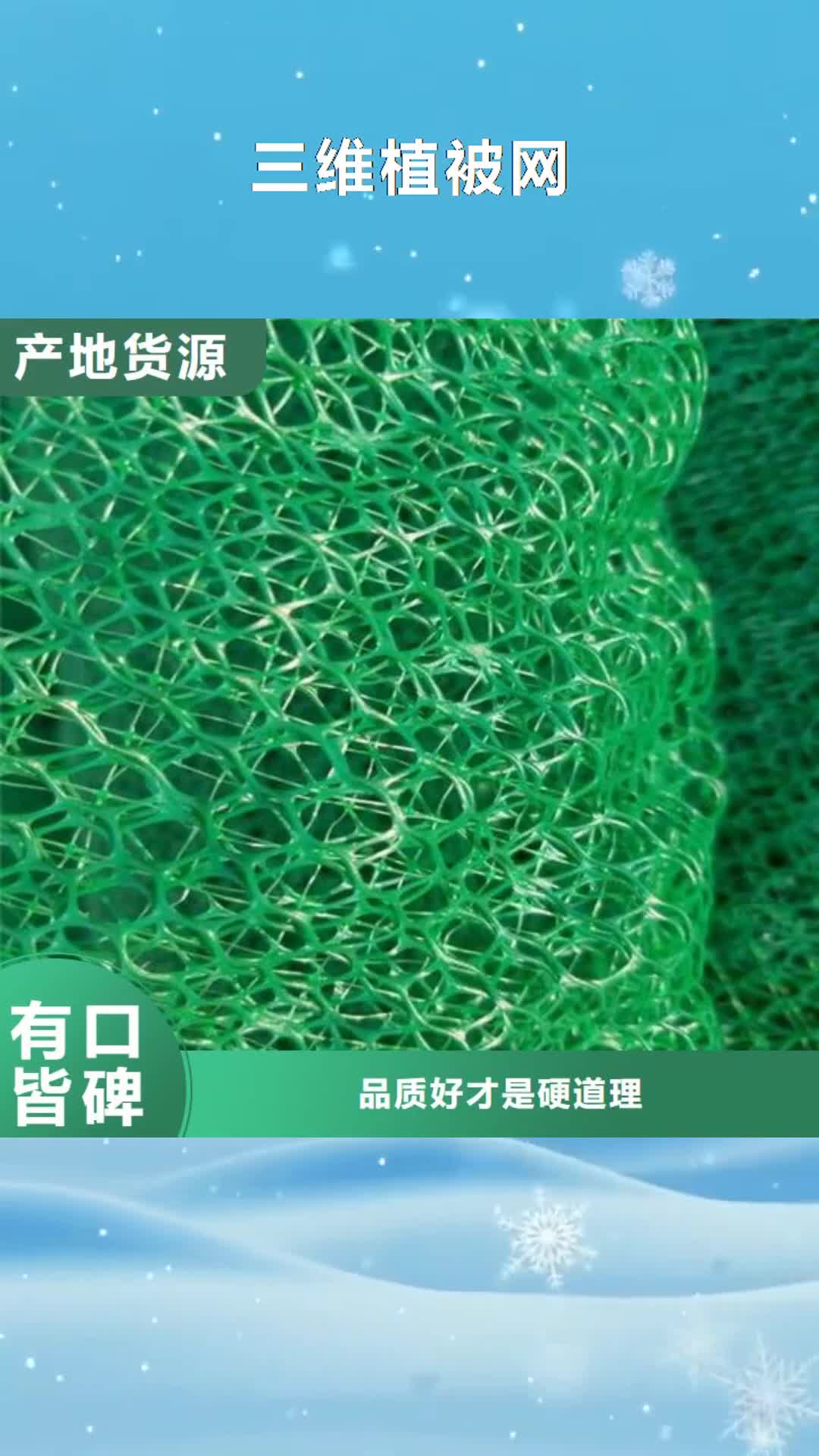 安阳【三维植被网】,单向拉伸塑料格栅厂家技术完善