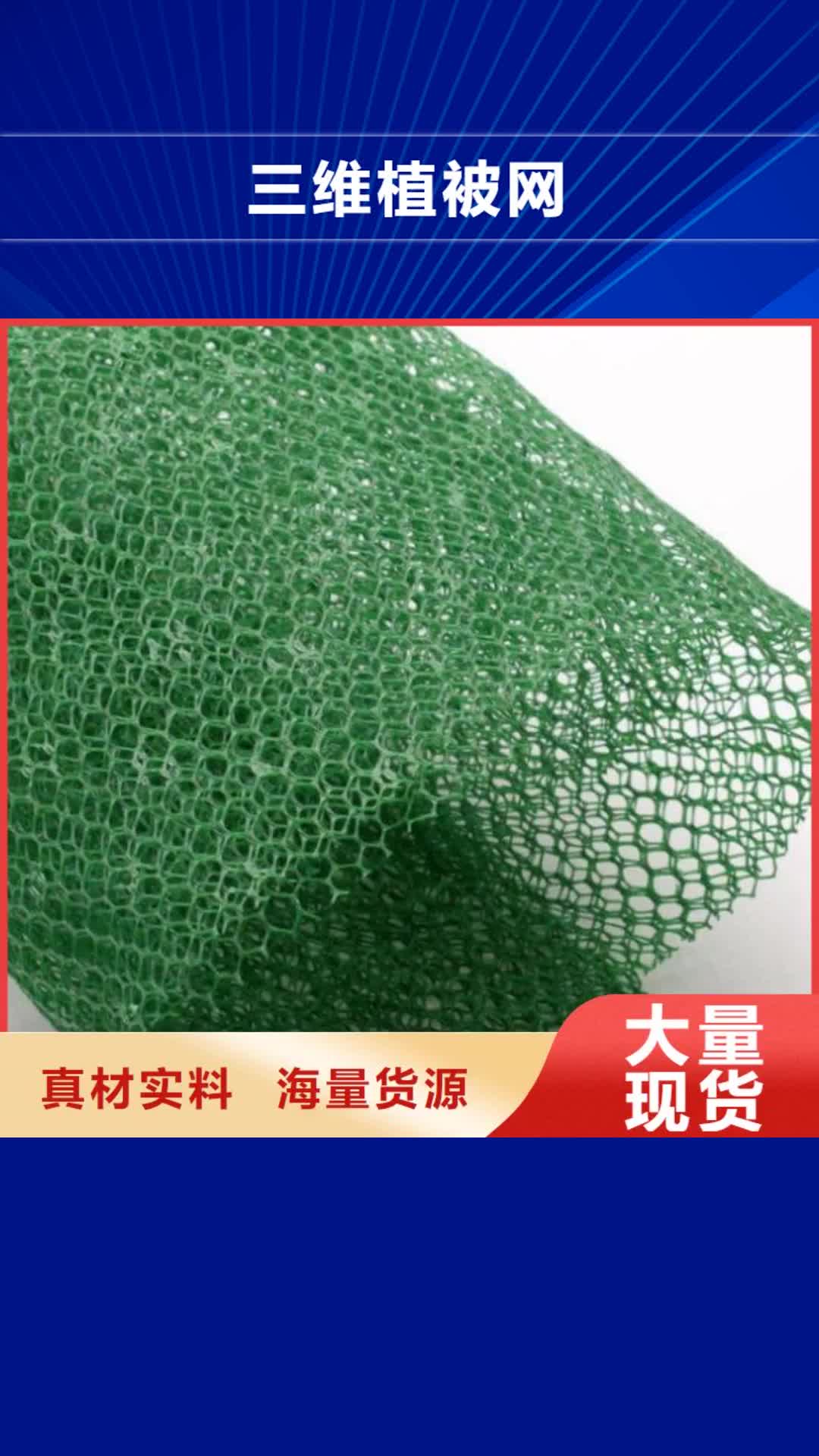 安阳【三维植被网】,三维水土保护毯正规厂家
