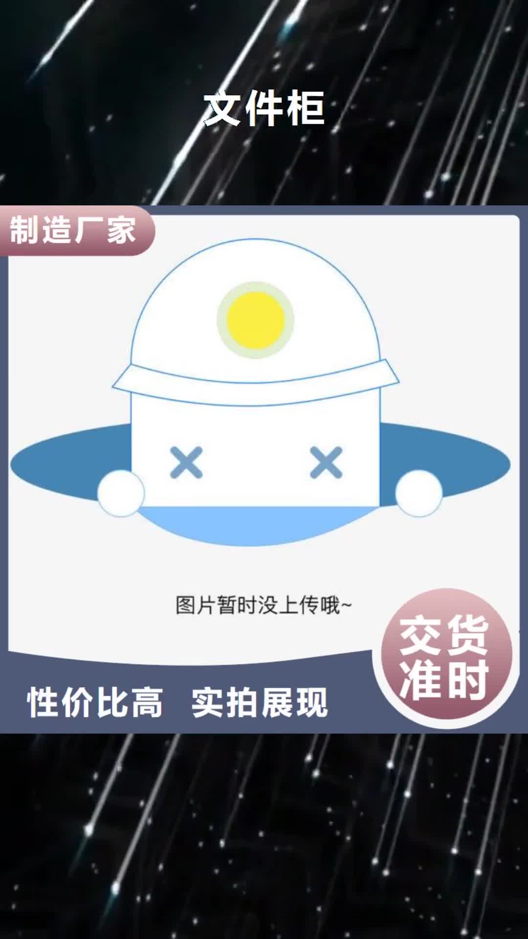 【南平 文件柜-档案柜口碑好实力强】