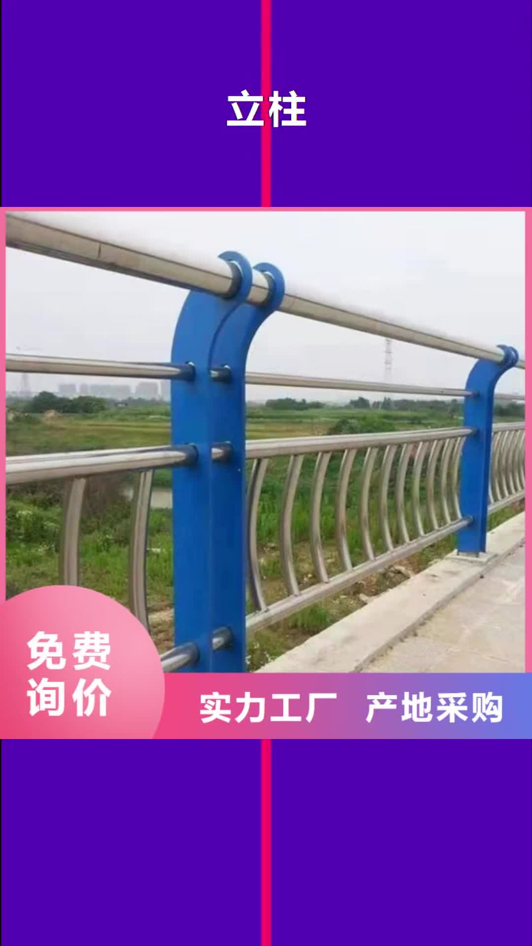 遵义【立柱】 防撞护栏实力雄厚品质保障