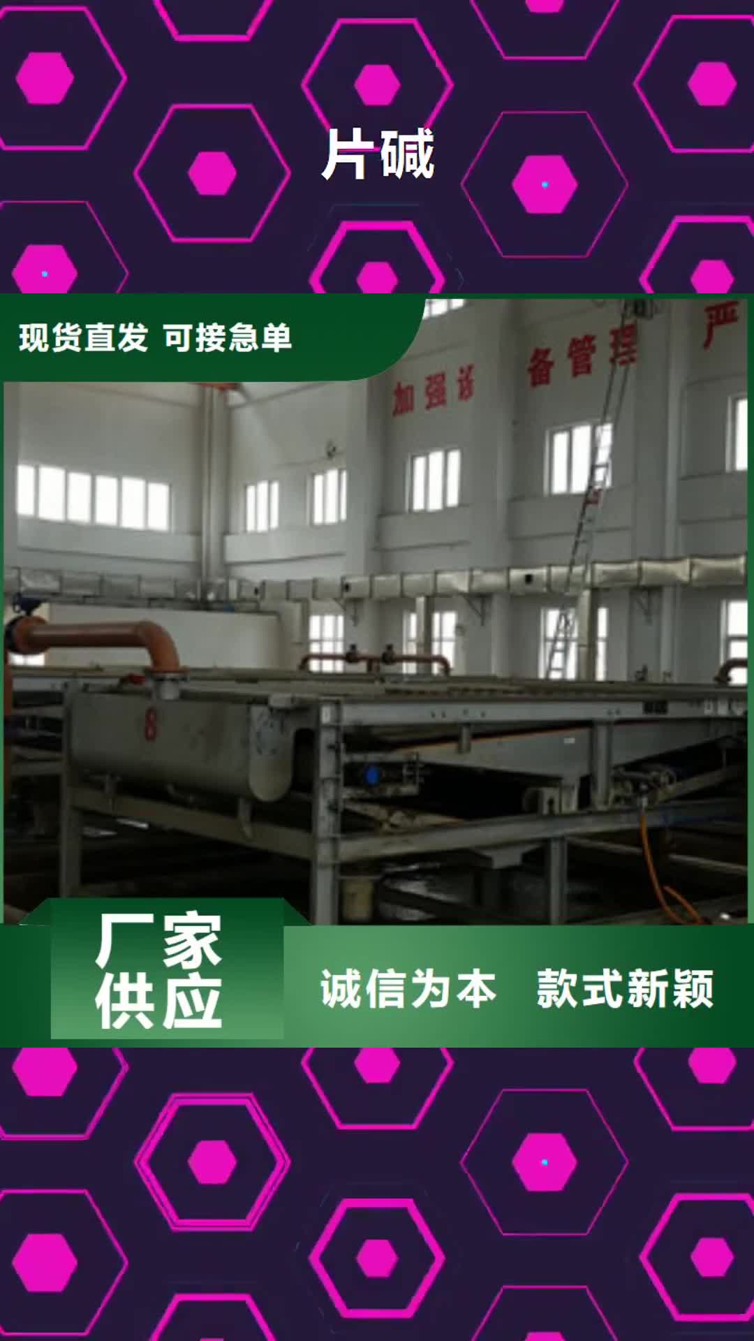 攀枝花 片碱-【椰壳活性炭】快速发货